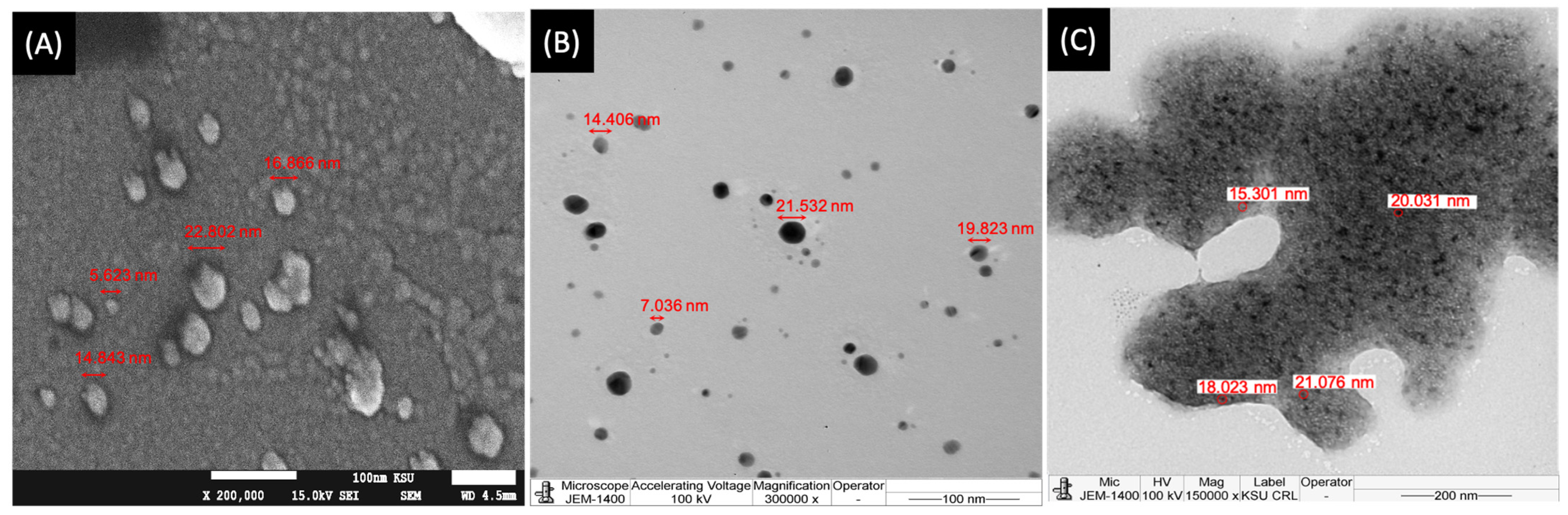 Applsci 14 11639 g002 Applsci 14 11639 g002