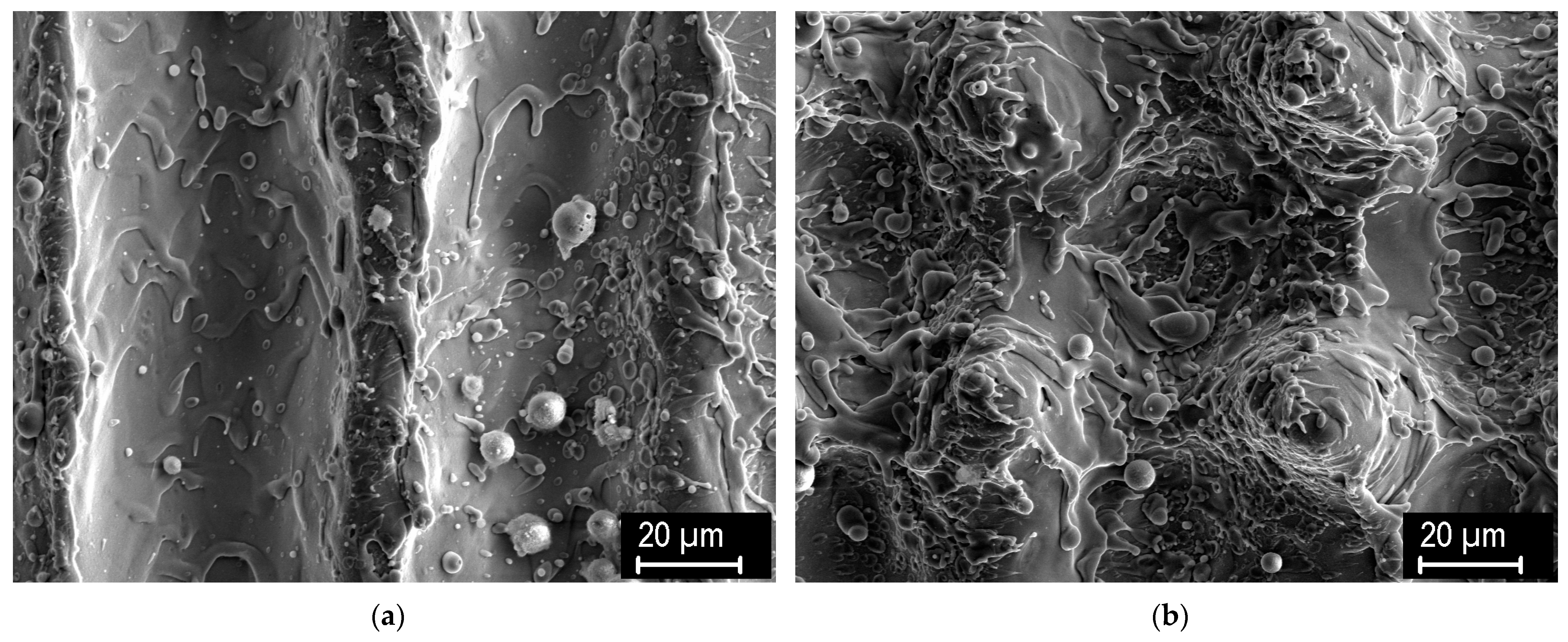 Applsci 14 11657 g001