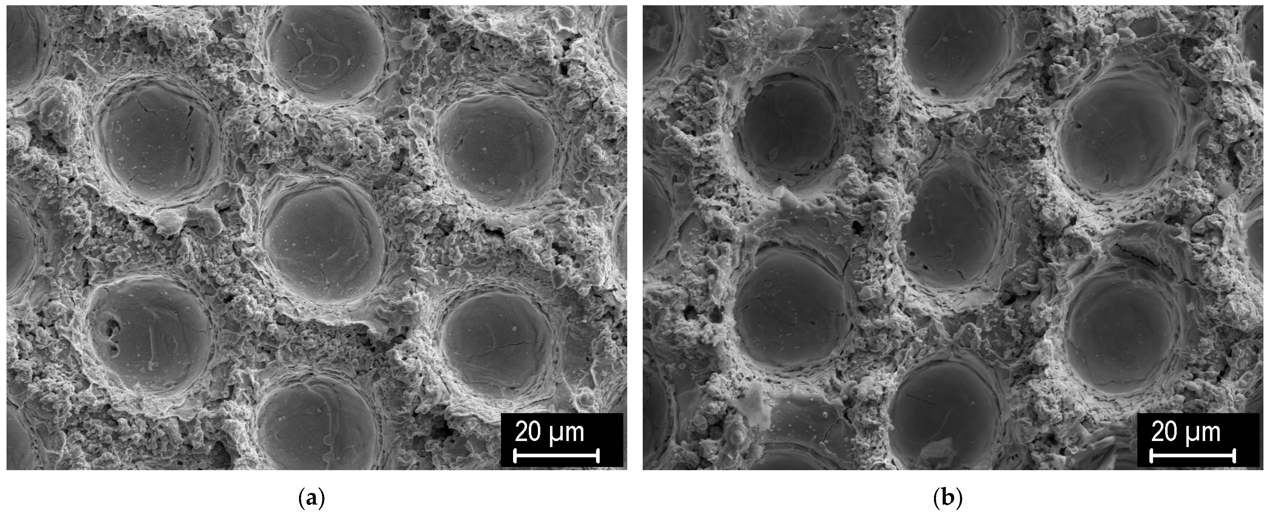 Applsci 14 11657 g002