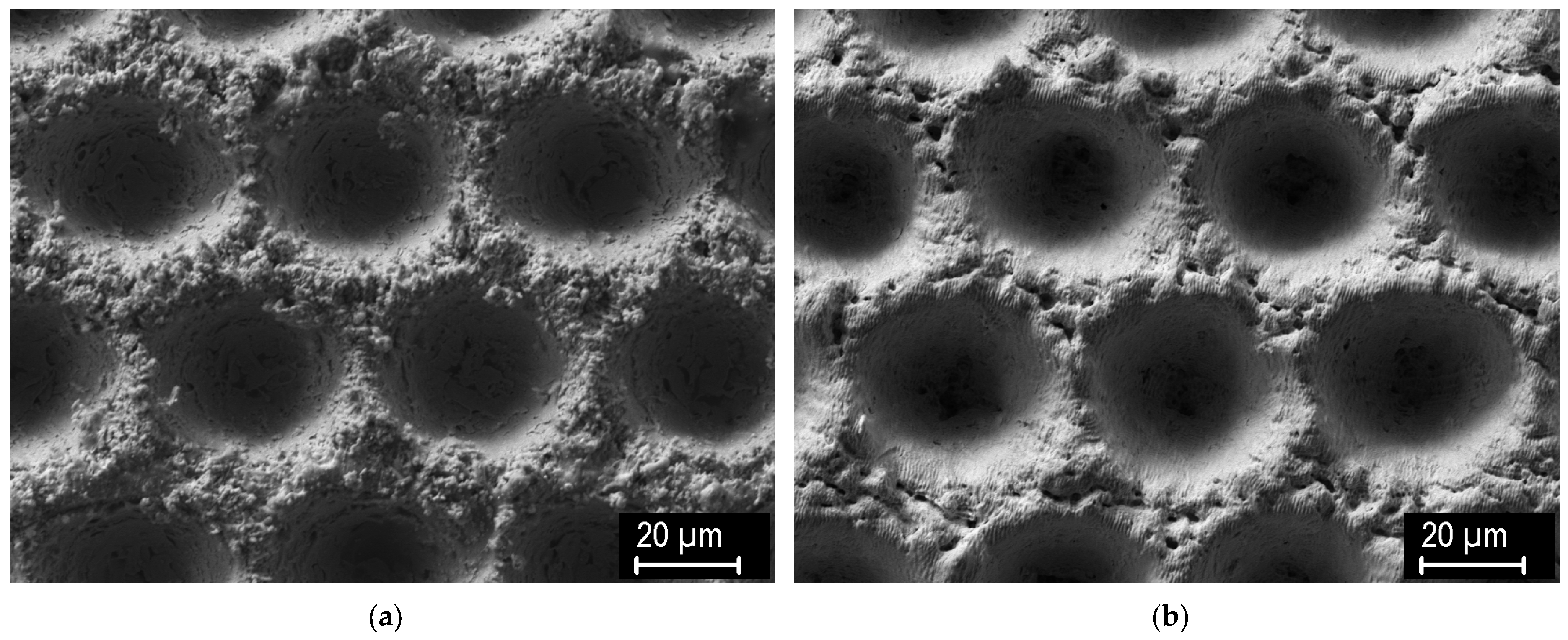 Applsci 14 11657 g003