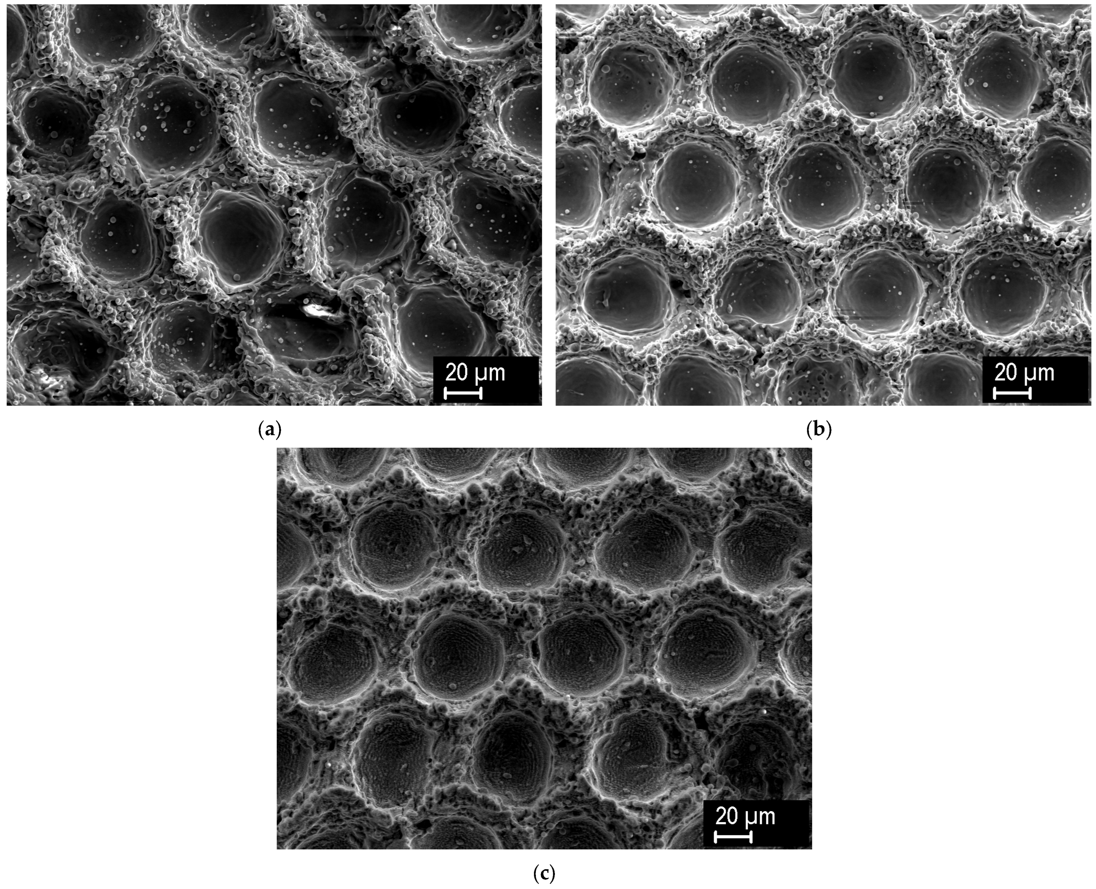 Applsci 14 11657 g004