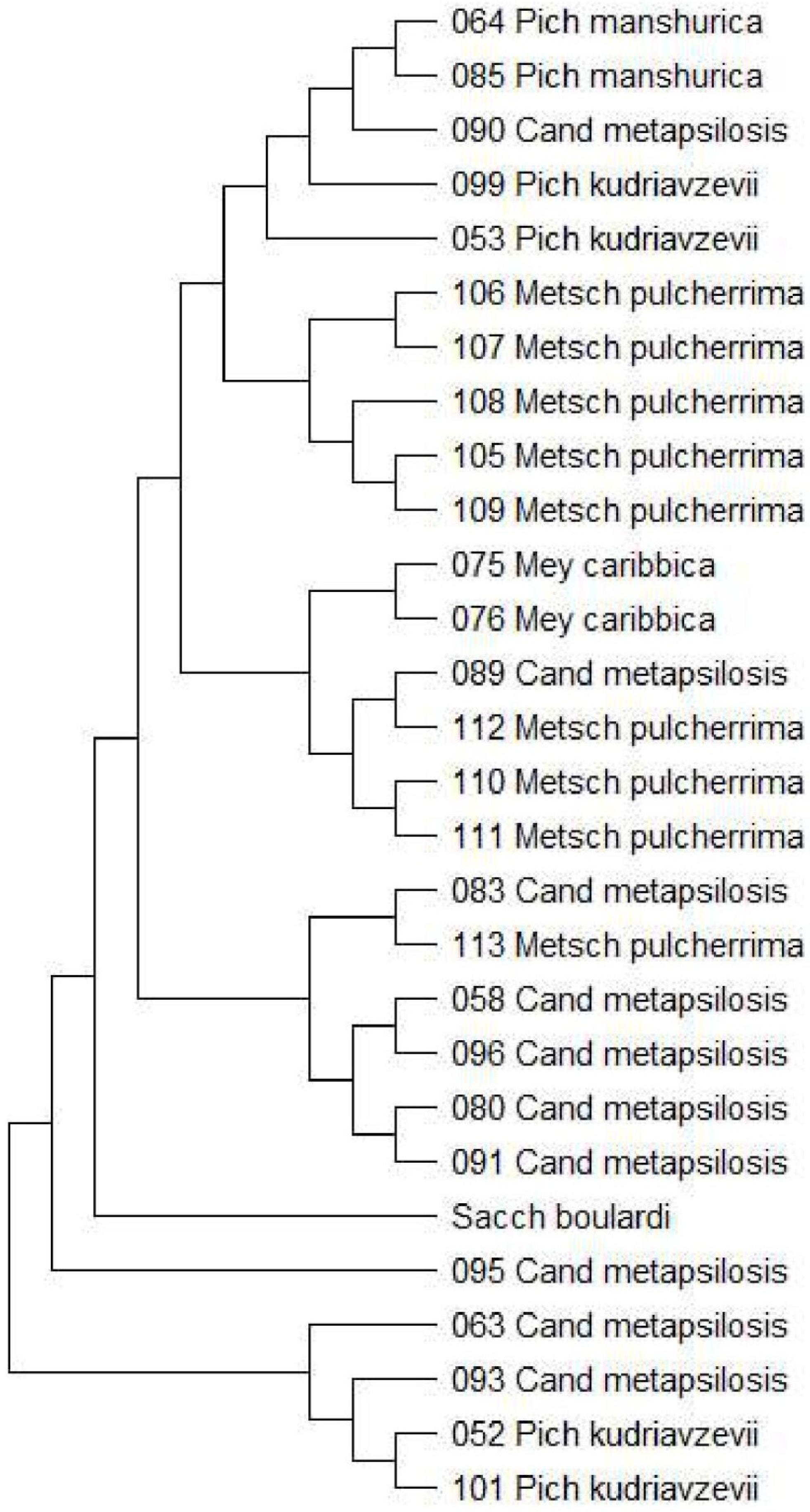 Applsci 14 11698 g001