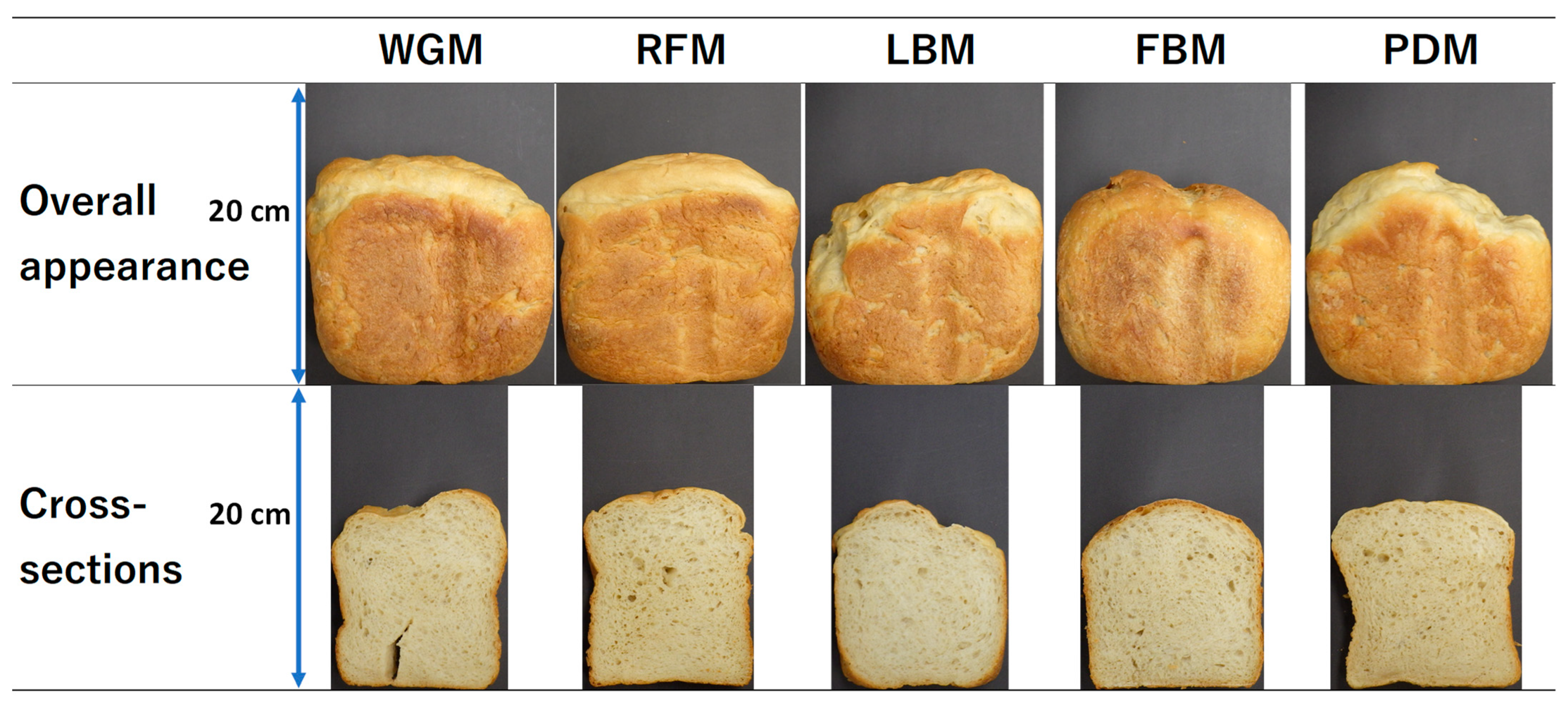 Applsci 14 11730 g002 Applsci 14 11730 g002