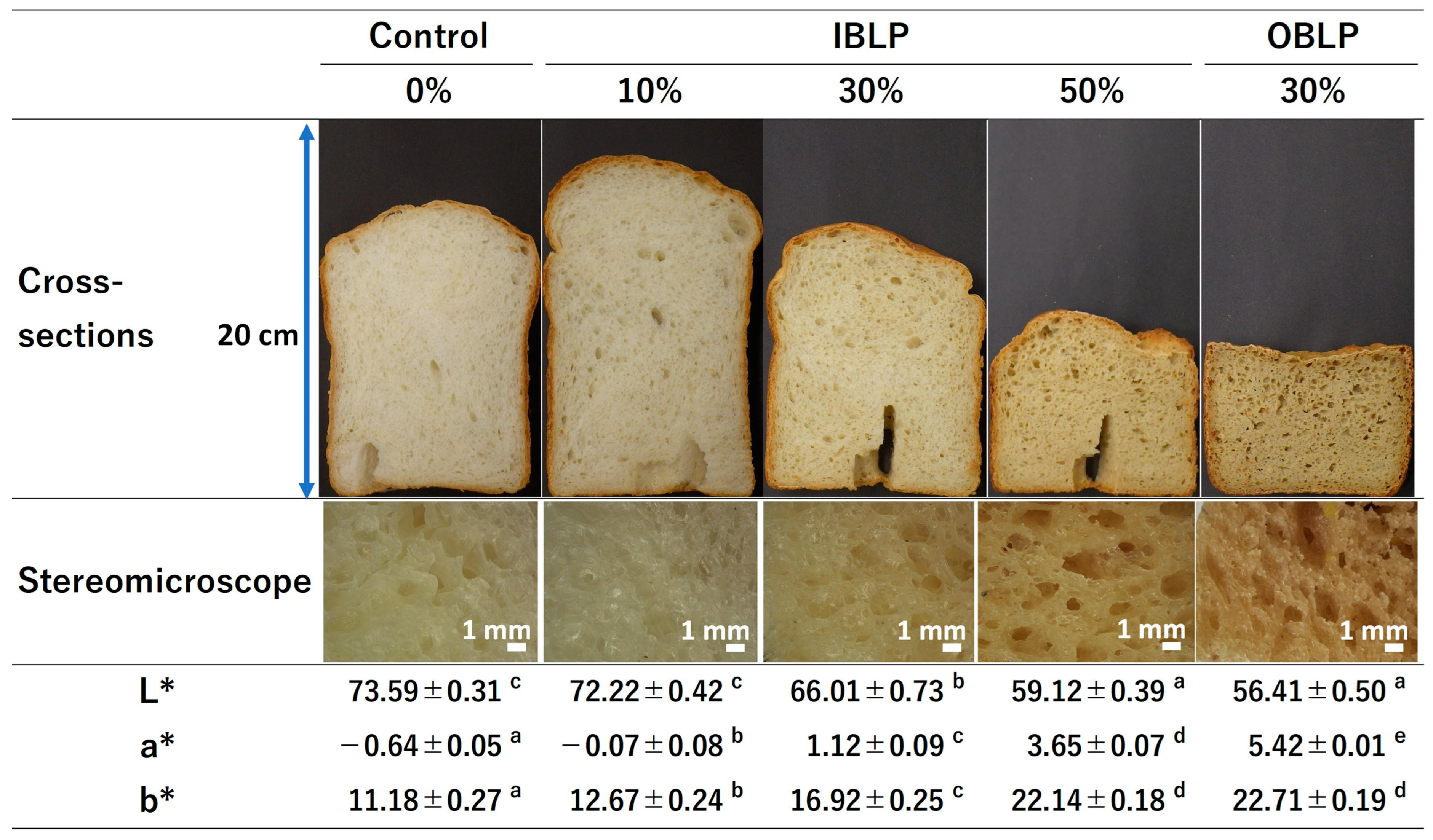 Applsci 14 11730 g003 Applsci 14 11730 g003