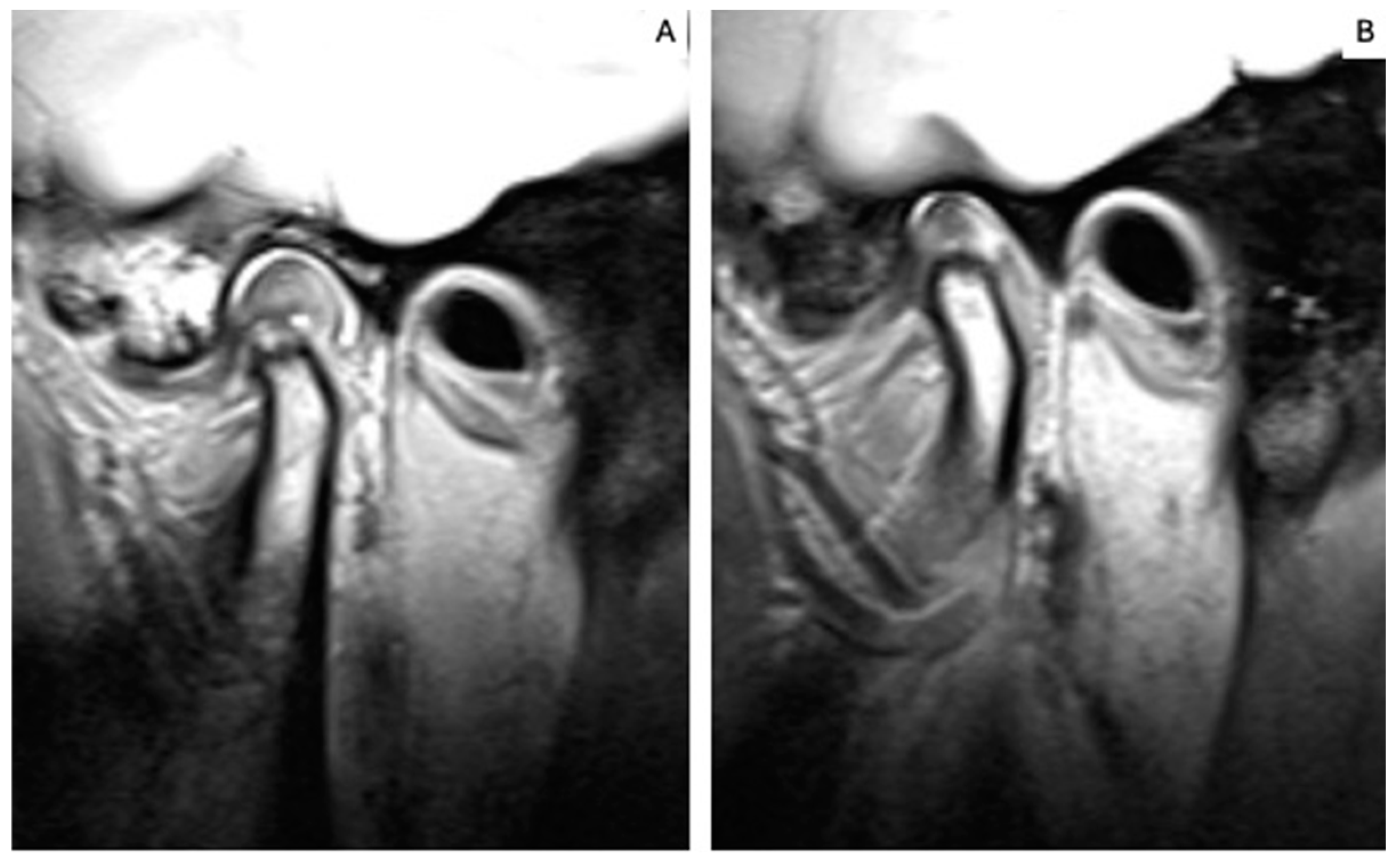 Applsci 14 11743 g002