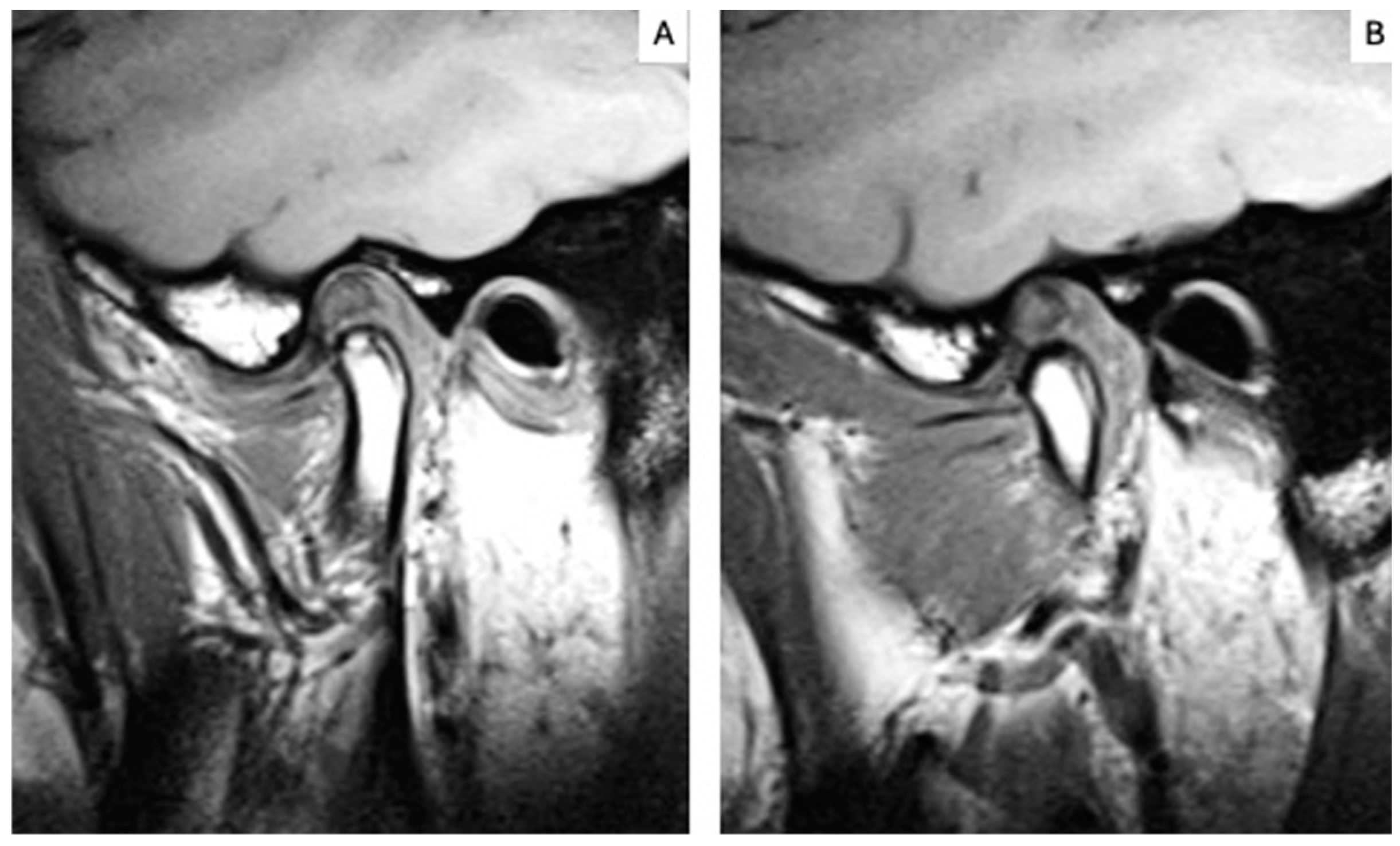 Applsci 14 11743 g003