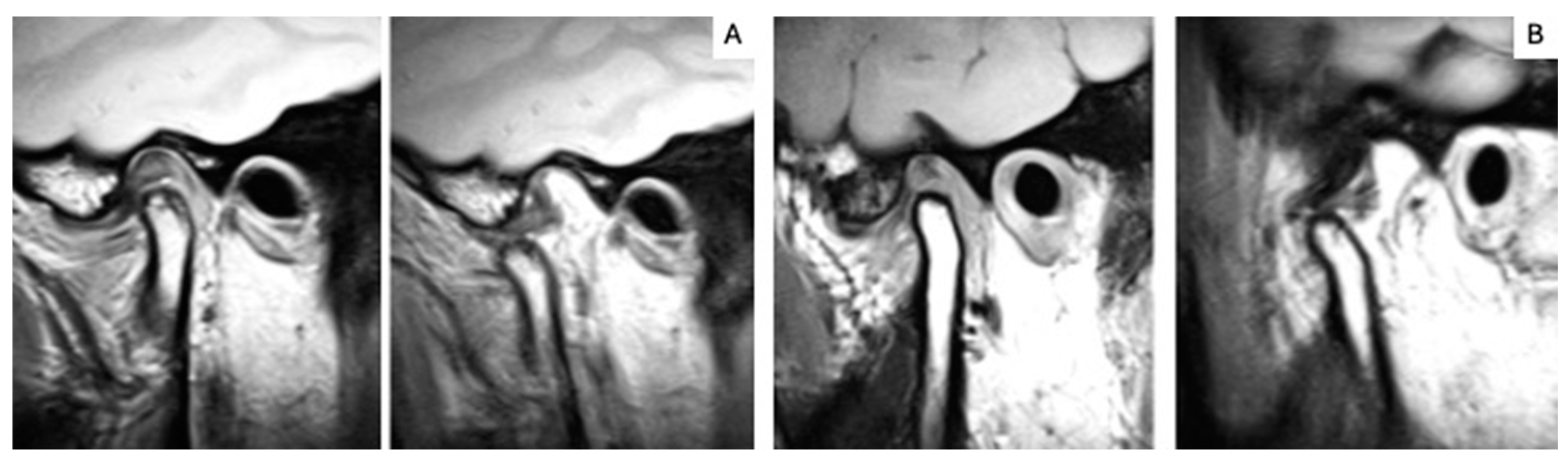 Applsci 14 11743 g004