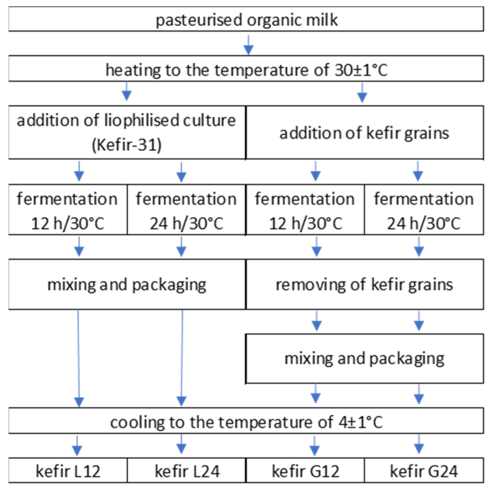 Applsci 14 11746 g001