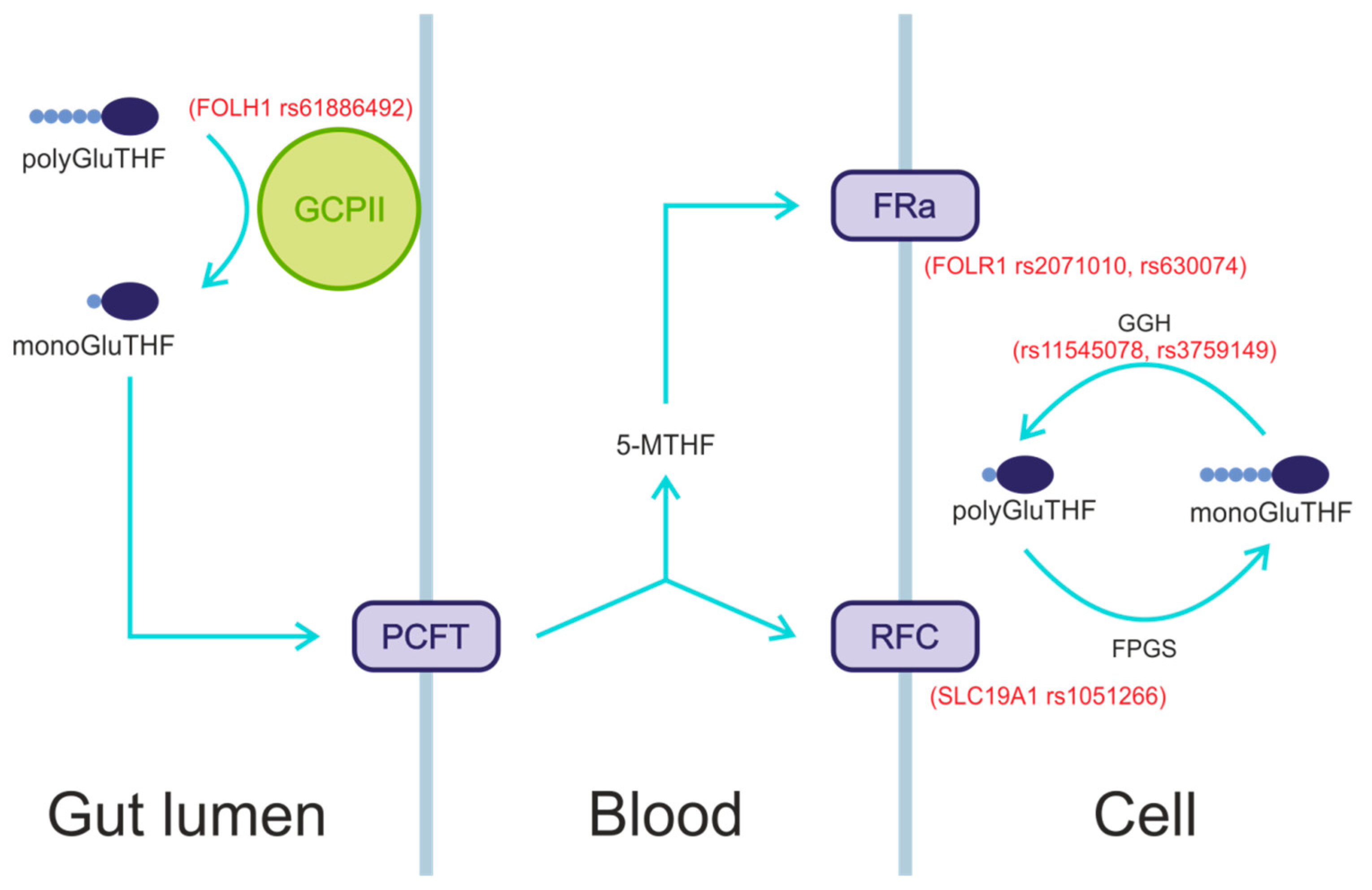 Applsci 14 11847 g001