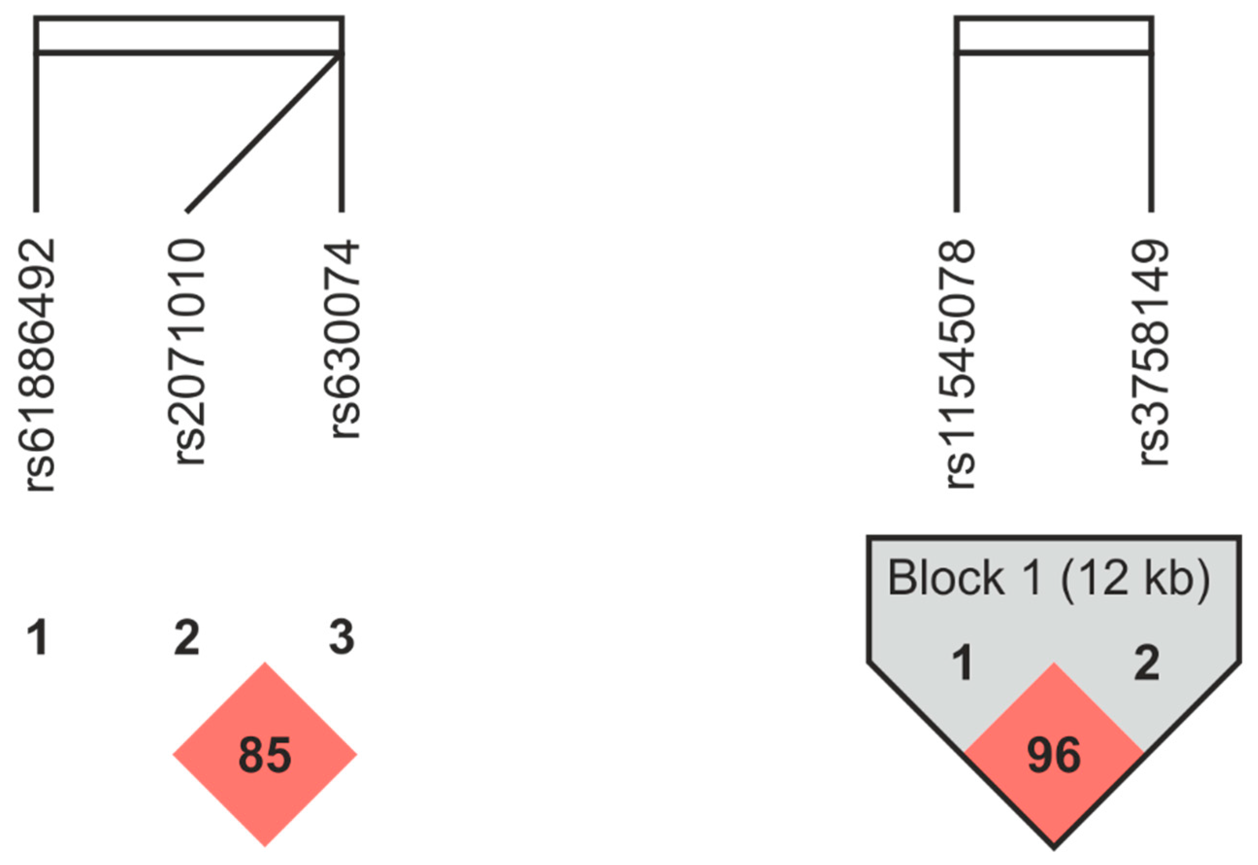 Applsci 14 11847 g002