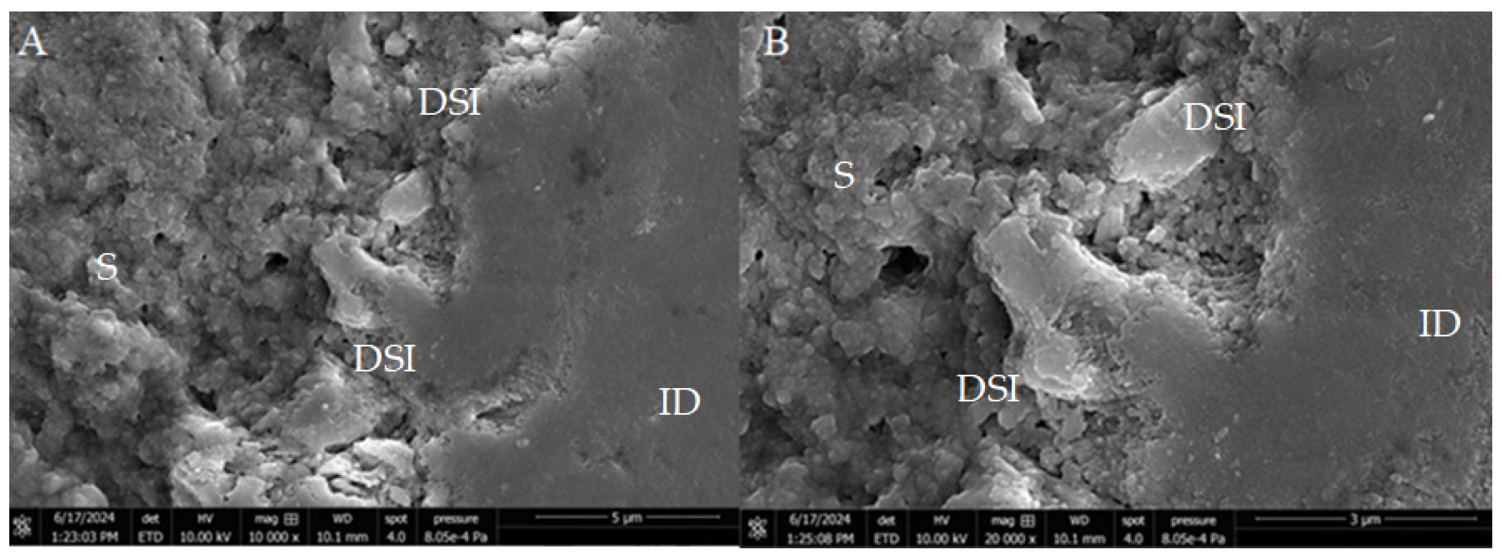 Applsci 14 11867 g001