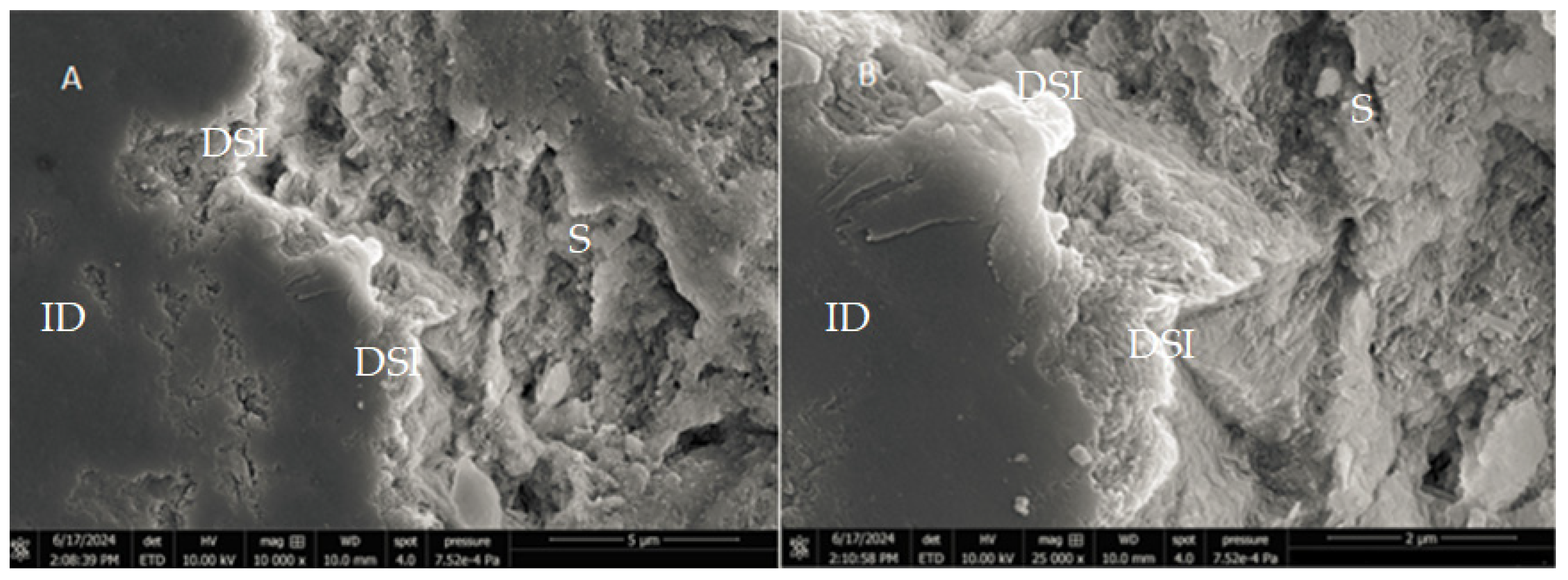 Applsci 14 11867 g002