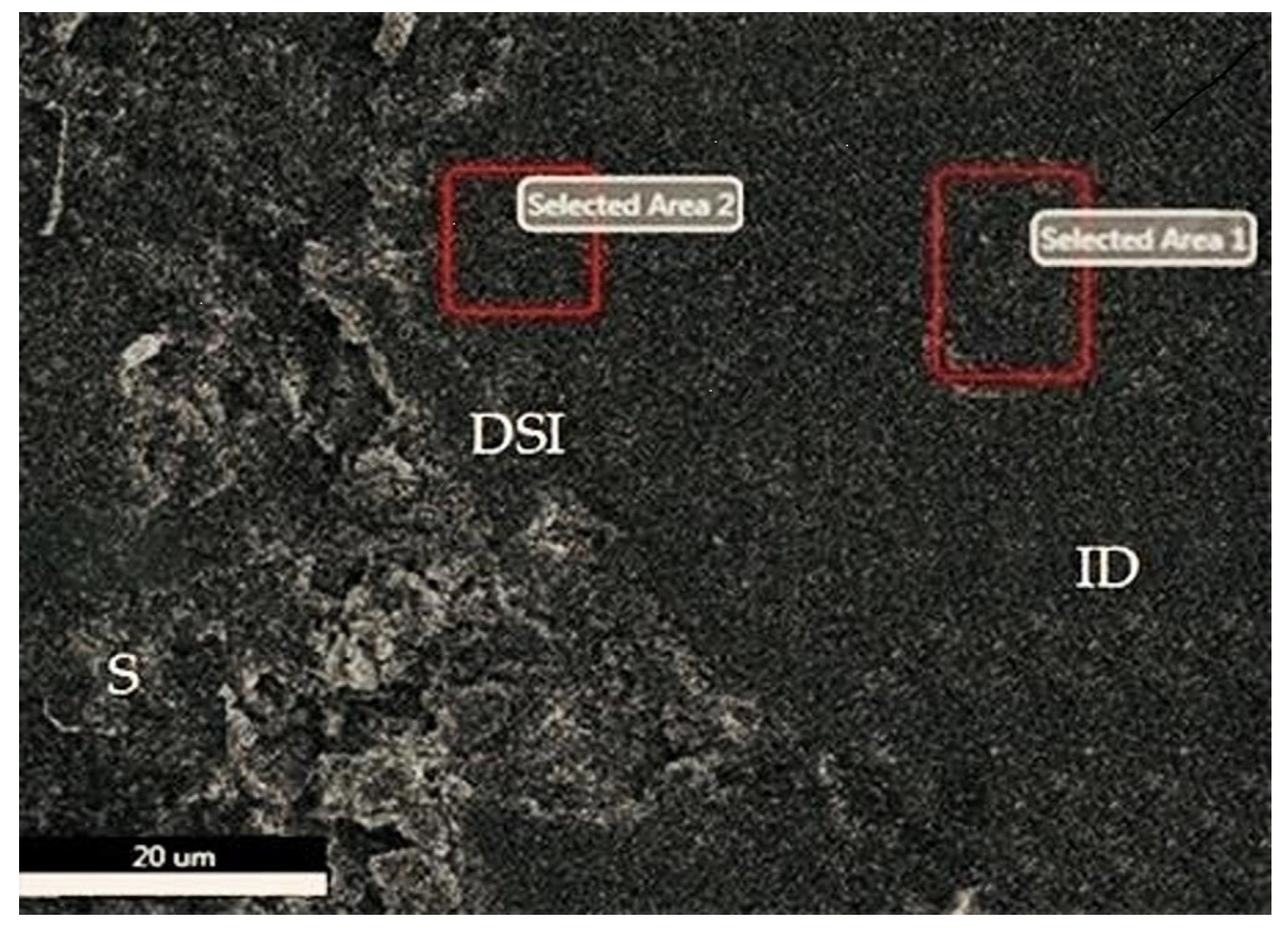 Applsci 14 11867 g003