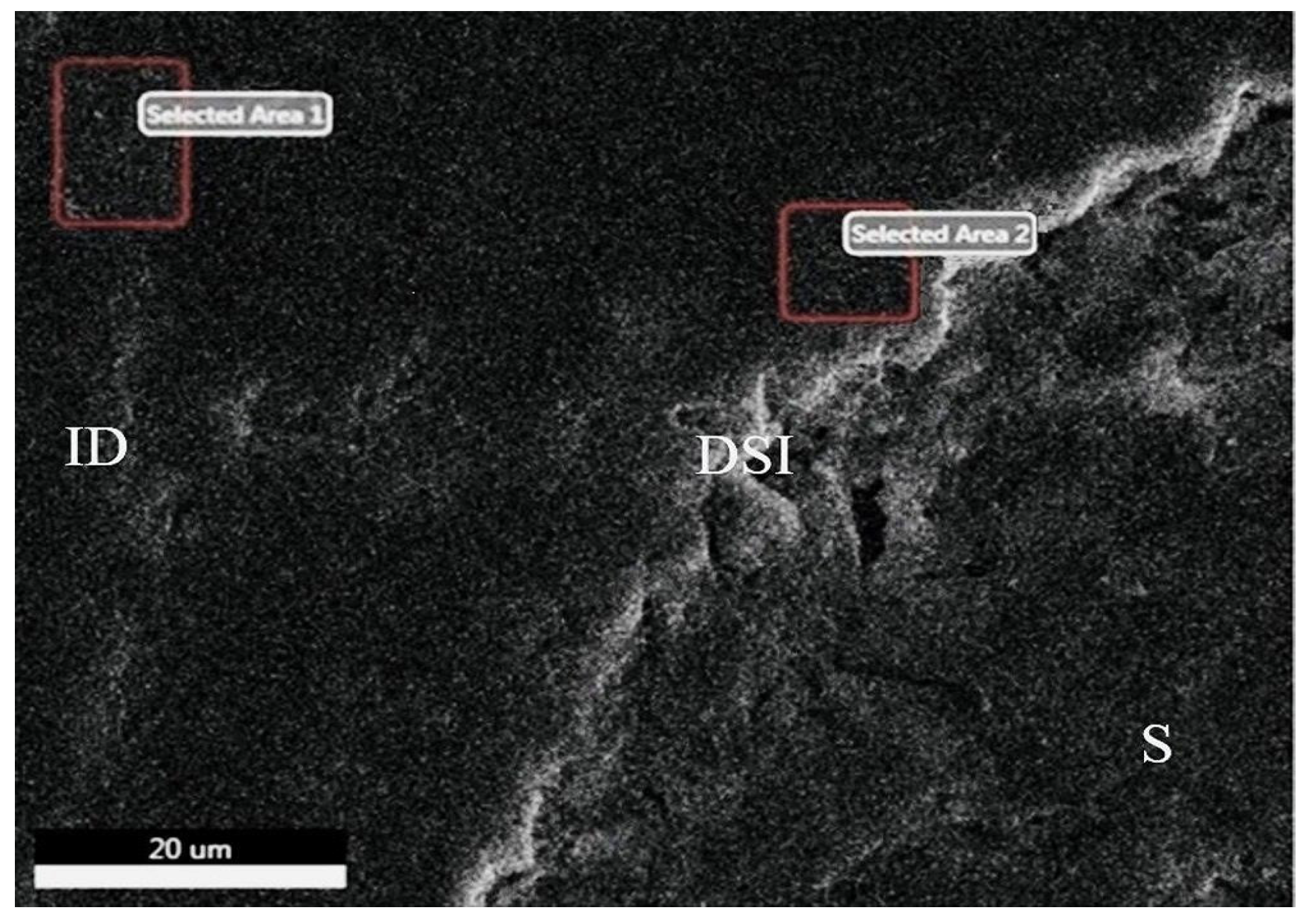 Applsci 14 11867 g006