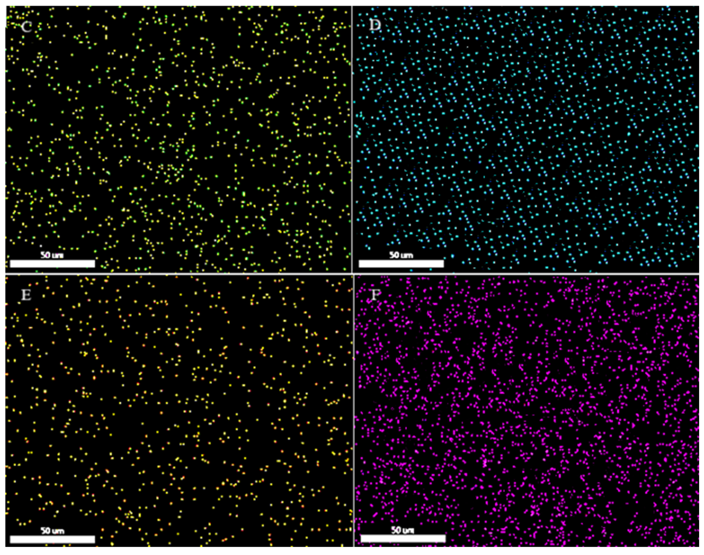 Applsci 14 11867 g009b