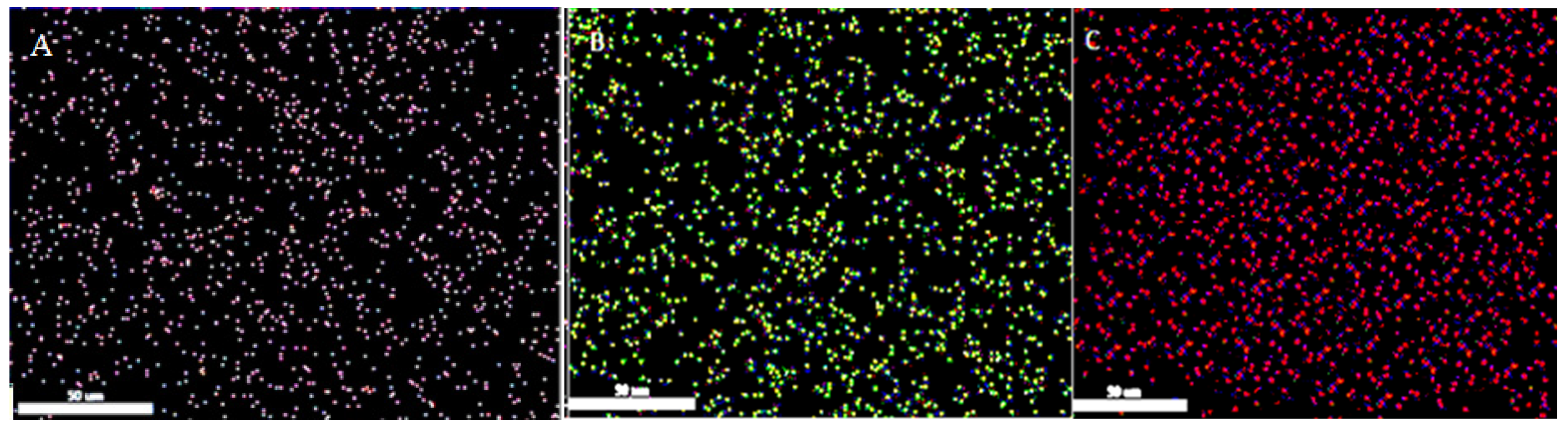 Applsci 14 11867 g010