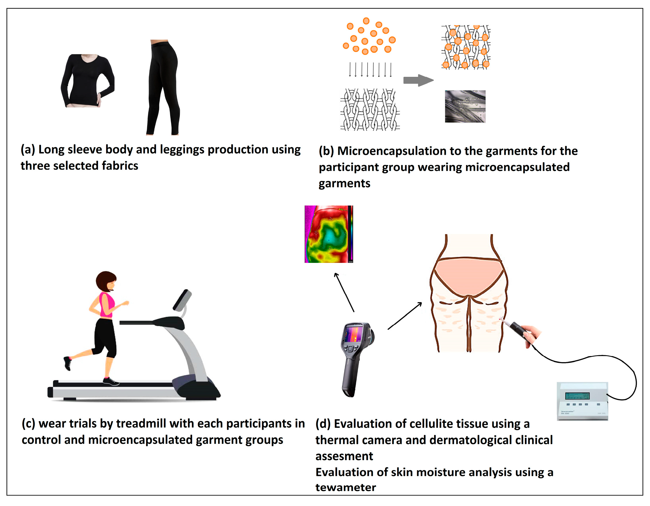 Applsci 14 11874 g001