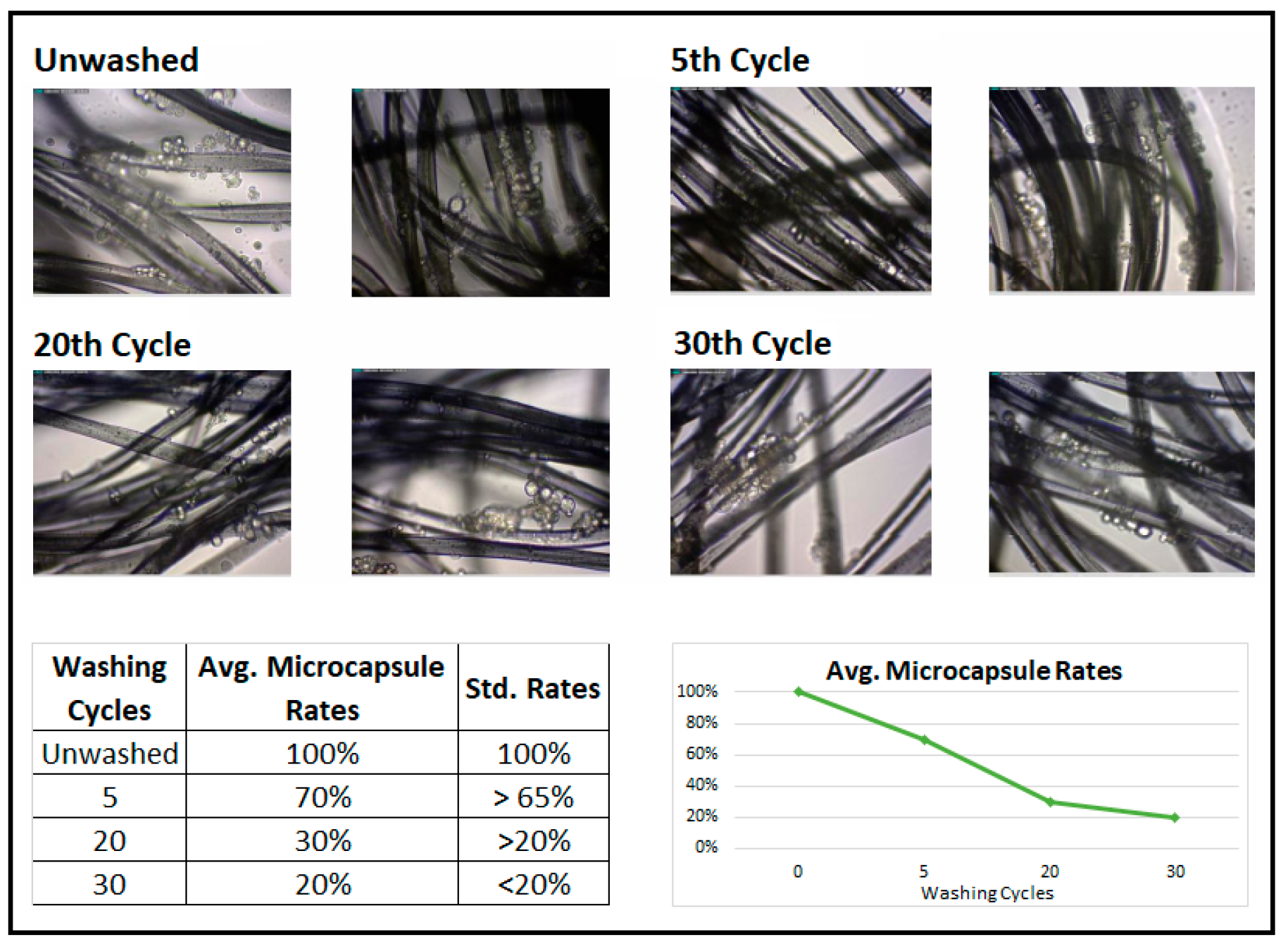 Applsci 14 11874 g002