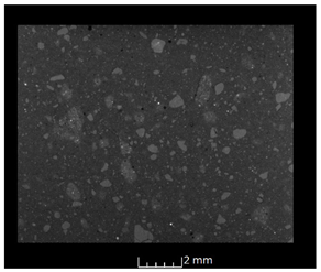 Applsci 14 11878 i009