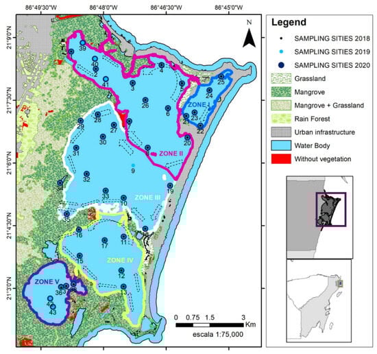 Applsci 14 11889 g001