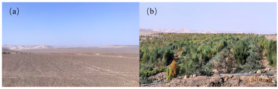 Applsci 14 11890 g0a2