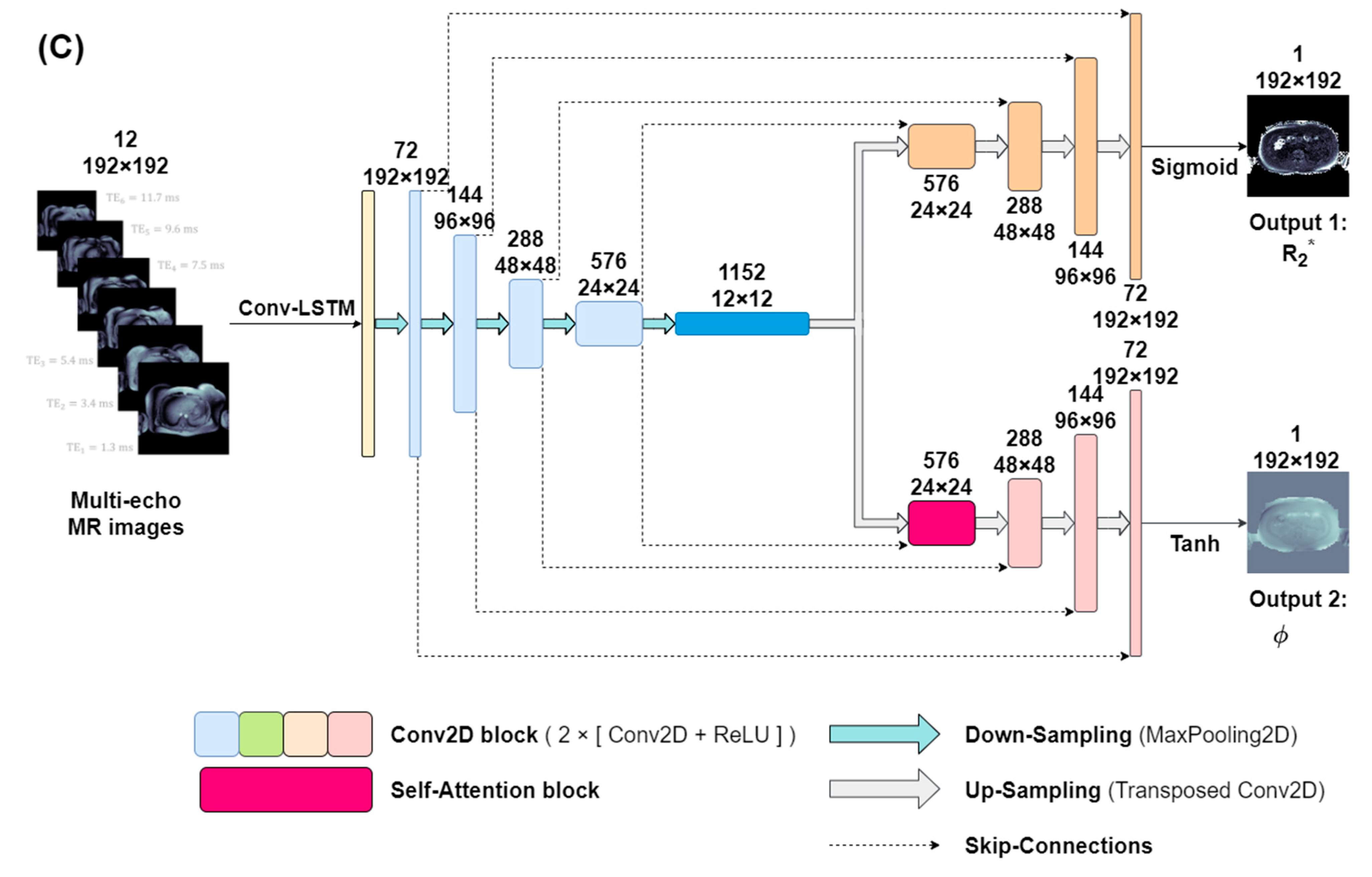 Applsci 14 11924 g001b