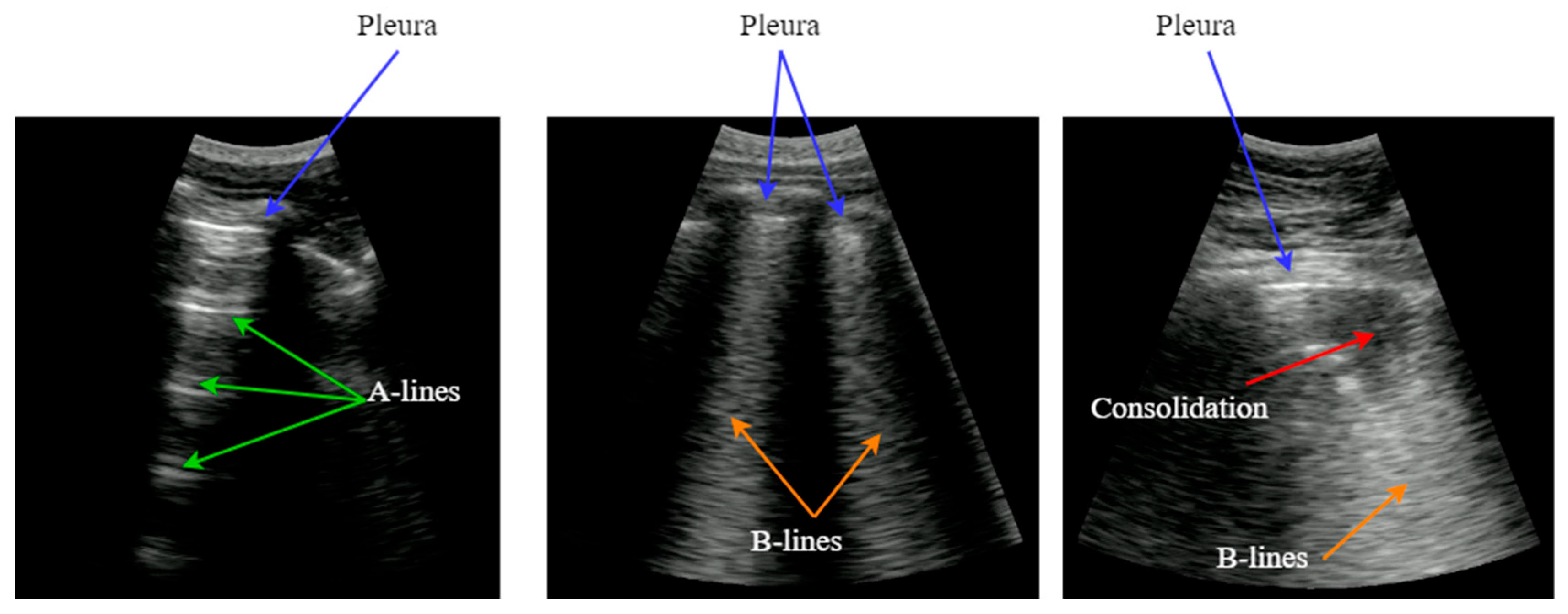 Applsci 14 11930 g001