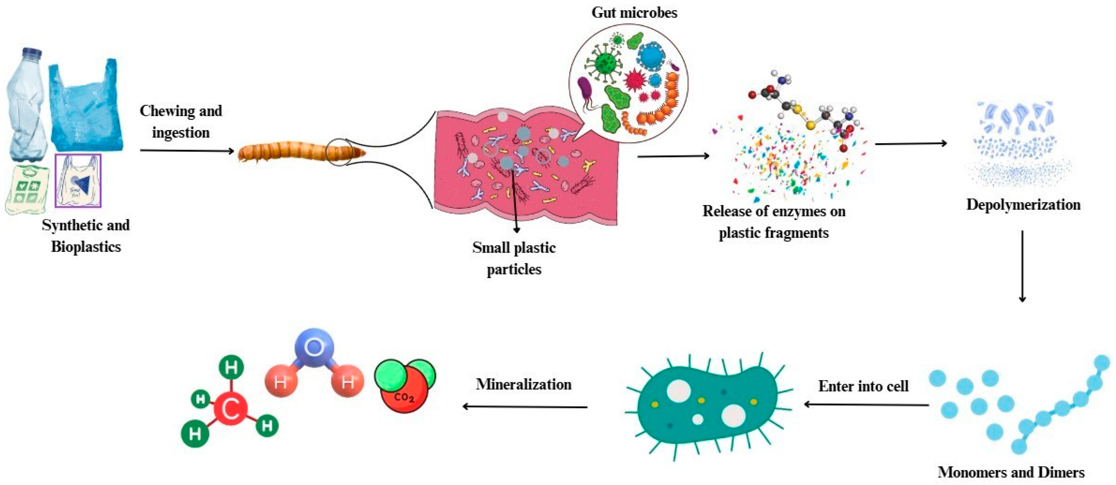 Applsci 14 11942 g004