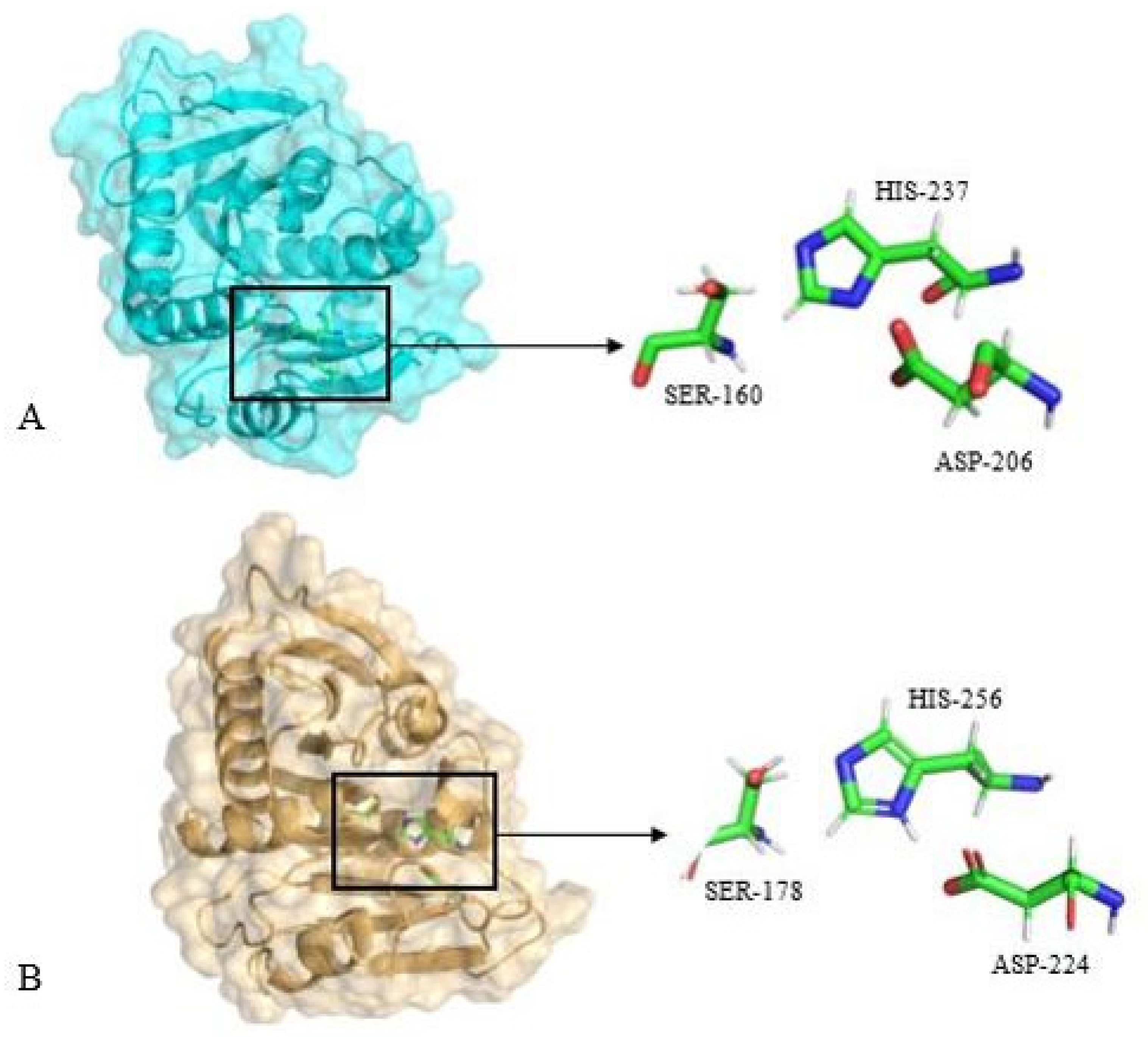 Applsci 14 11942 g005