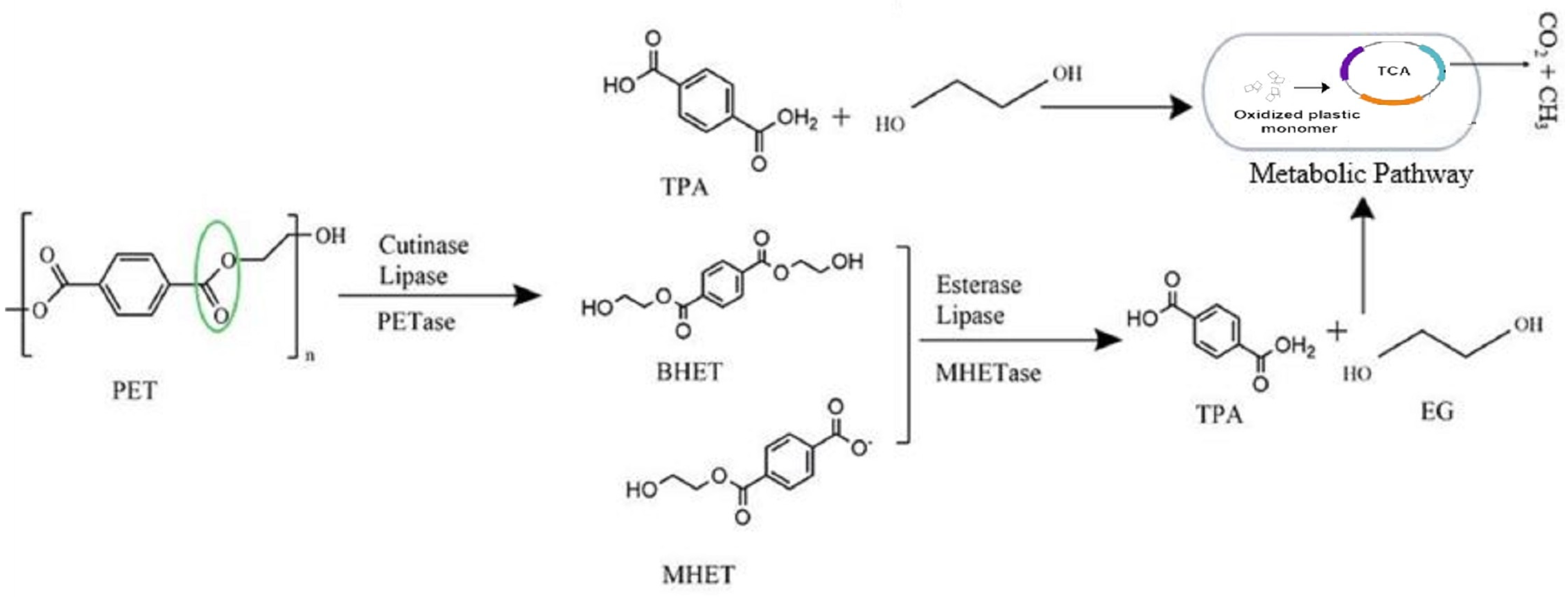 Applsci 14 11942 g006