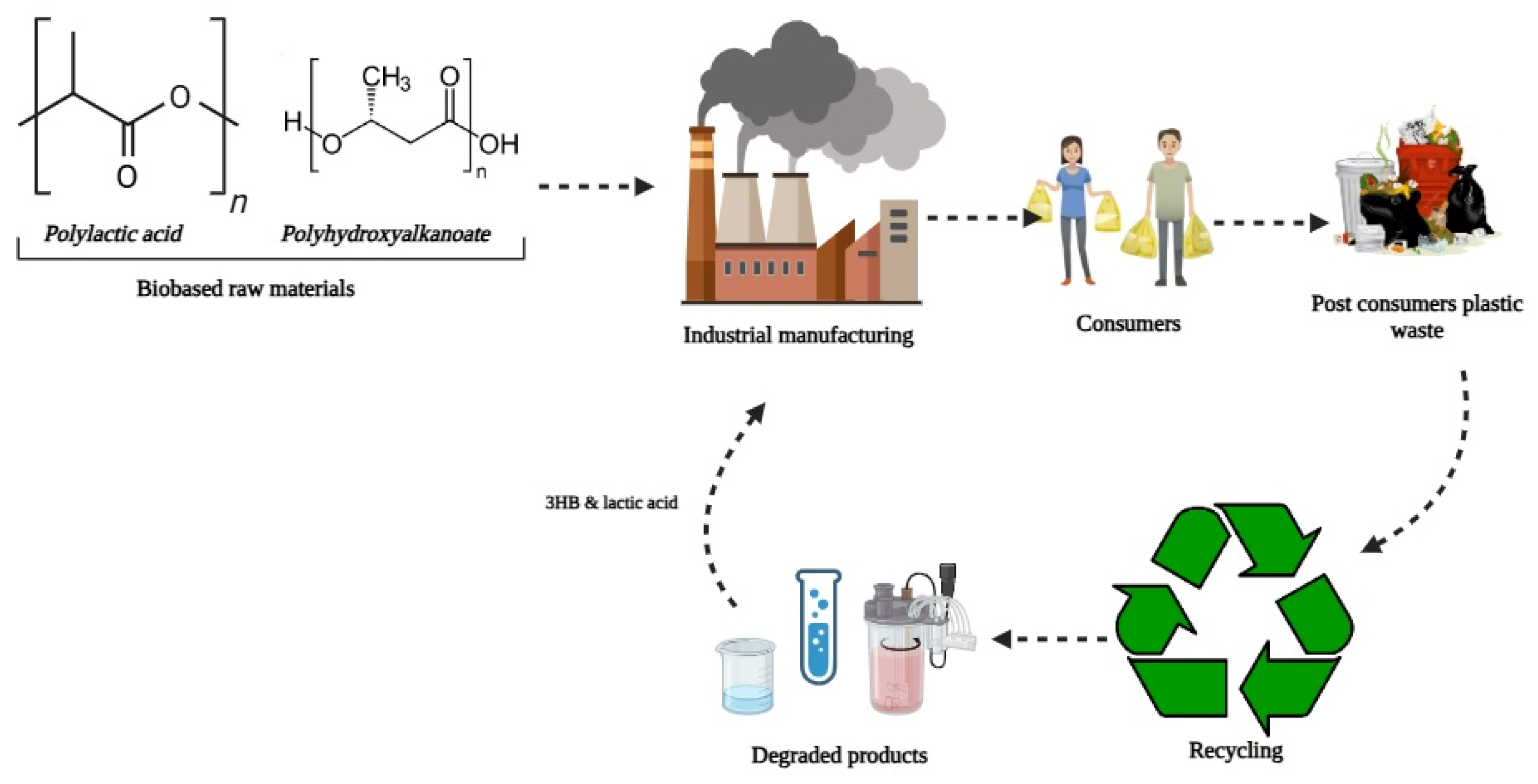 Applsci 14 11942 g007