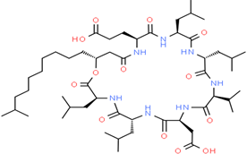 Applsci 14 11999 i002