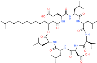 Applsci 14 11999 i003