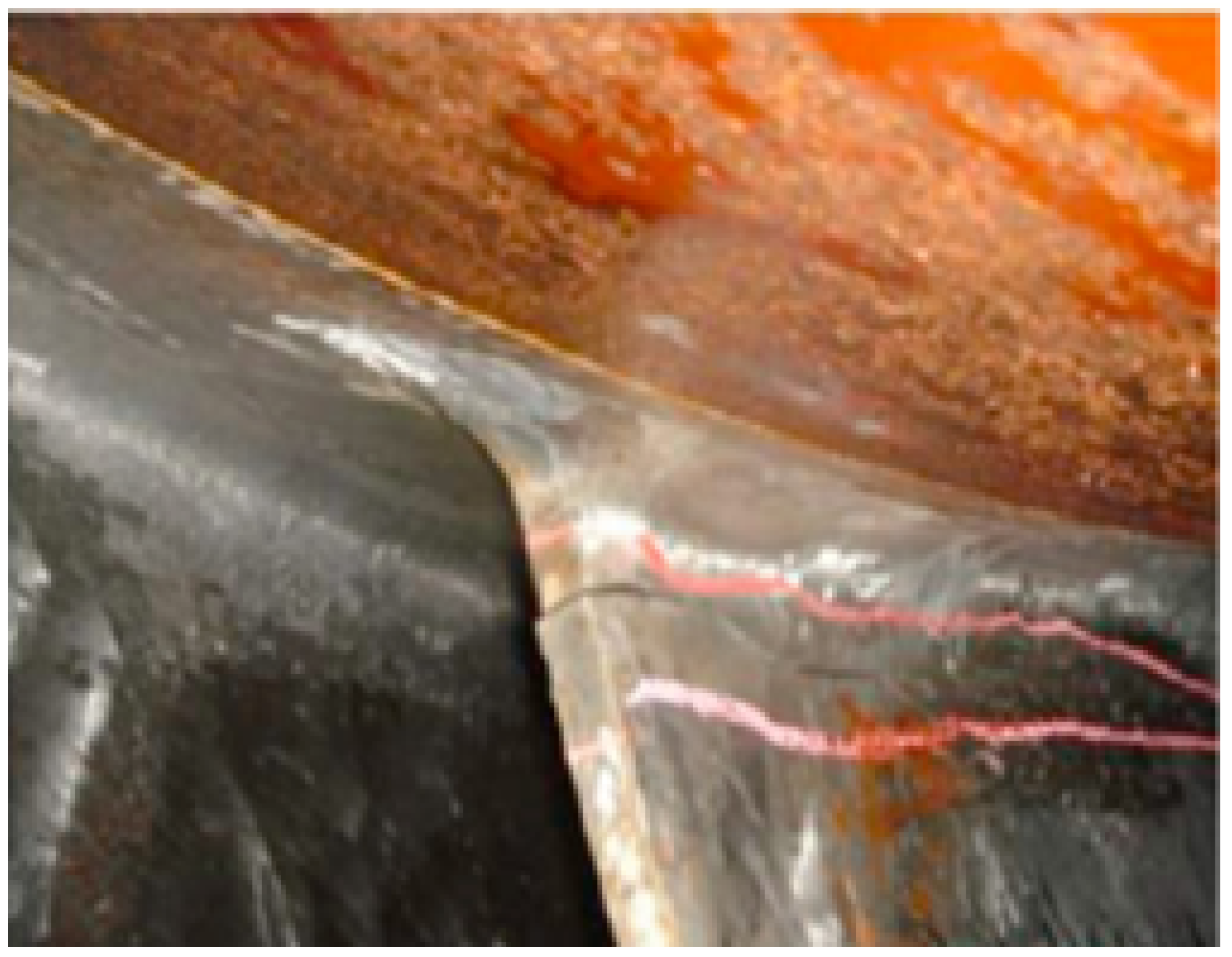 Applsci 14 12003 g001