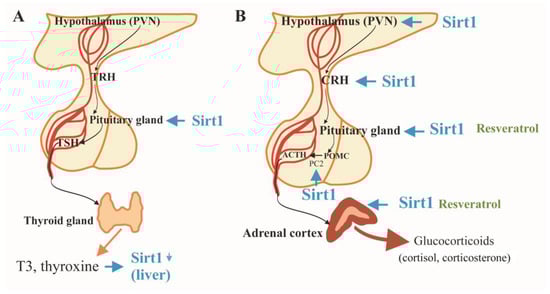 Applsci 14 12051 g001