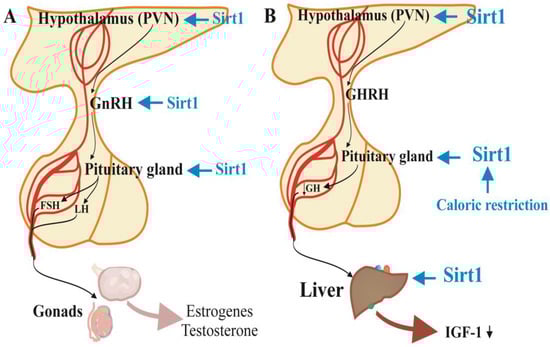 Applsci 14 12051 g002