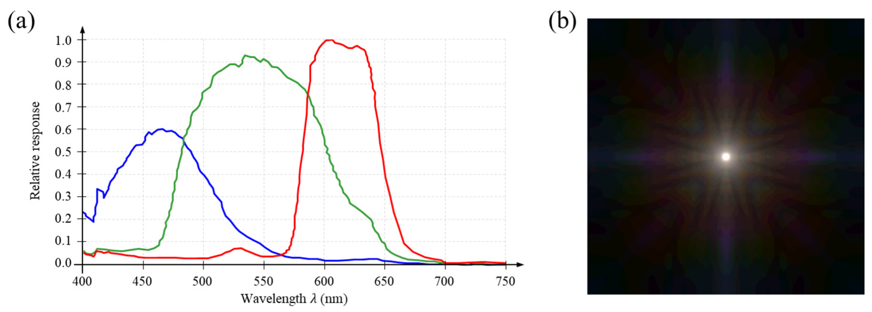 Applsci 15 00030 g005 Applsci 15 00030 g005