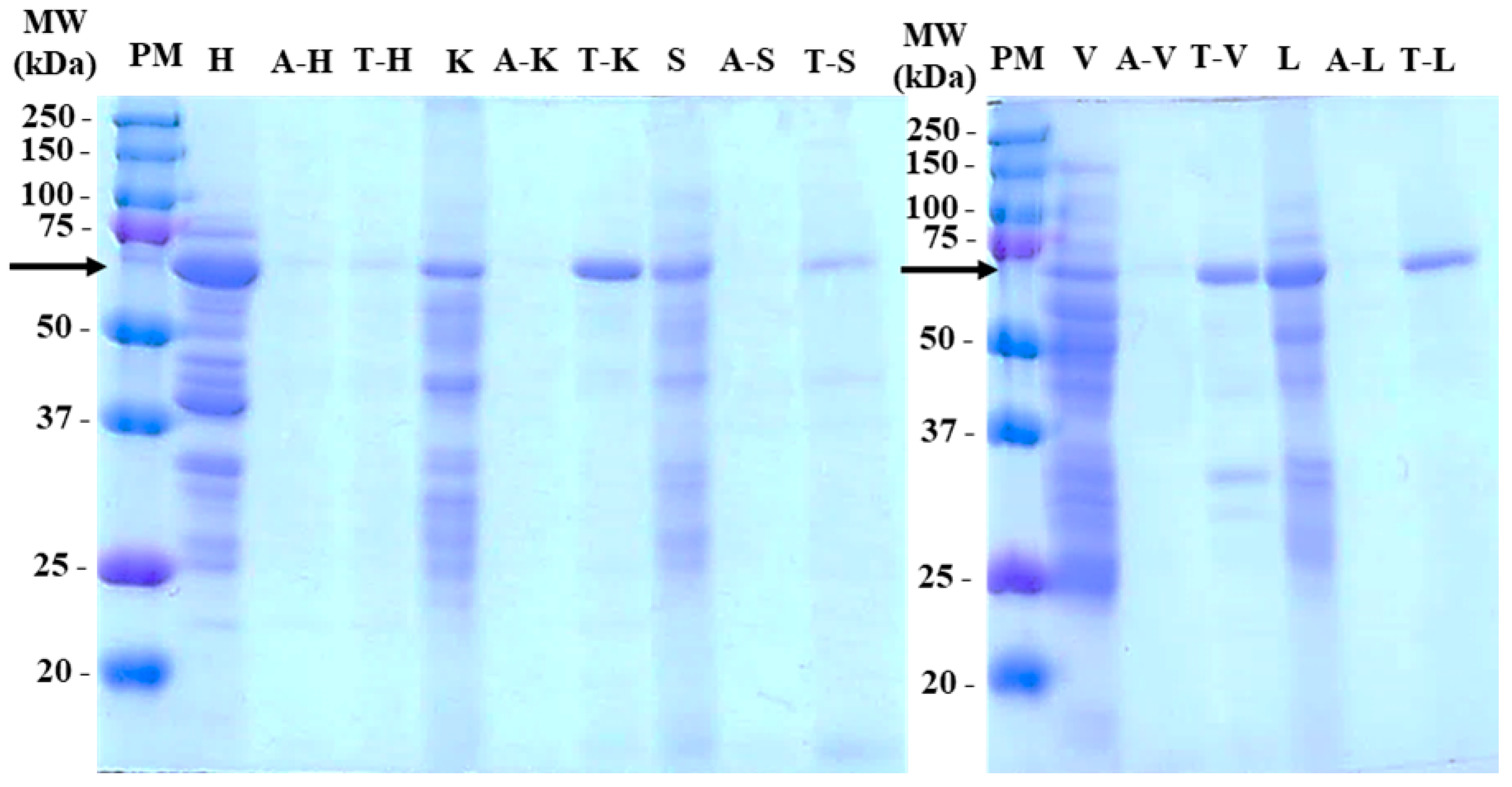 Applsci 15 00047 g002