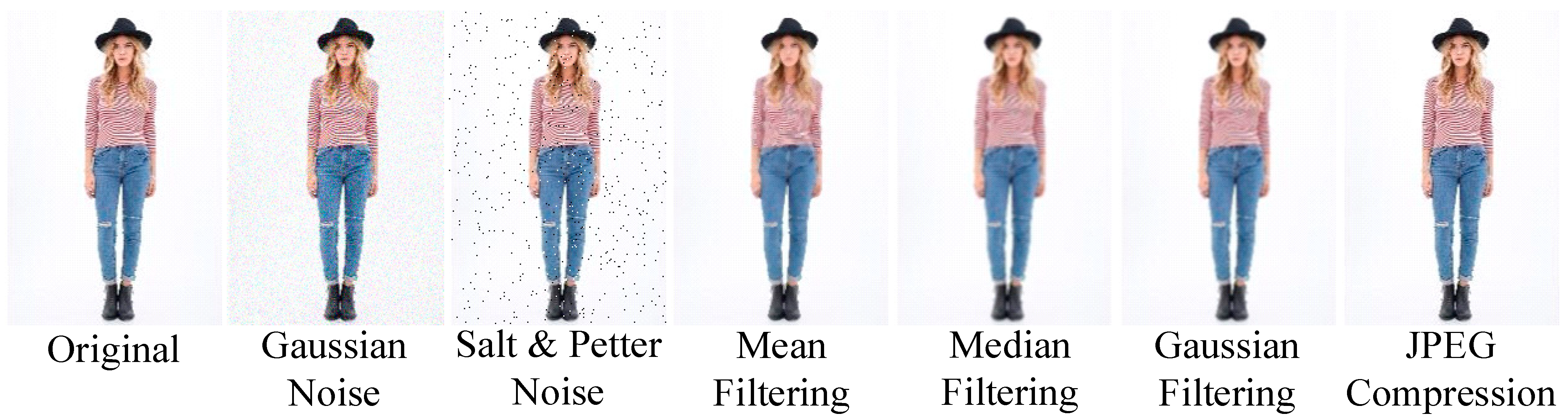 Applsci 15 00058 g009