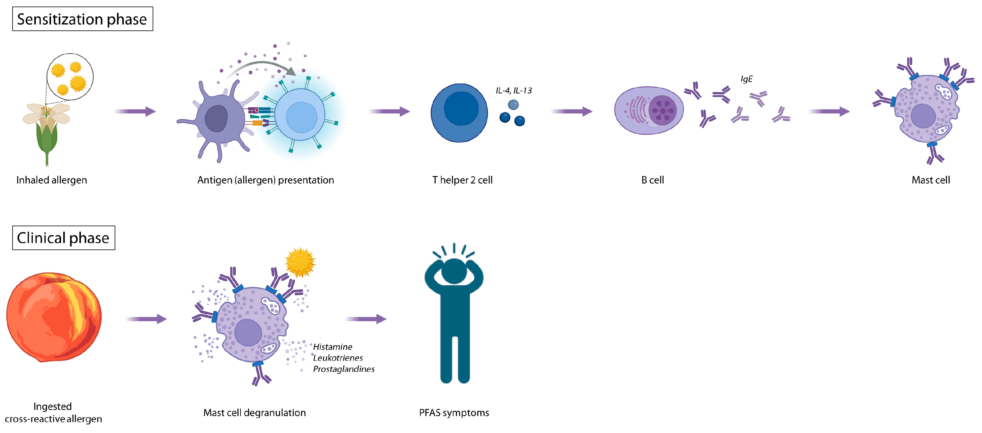 Applsci 15 00066 g001