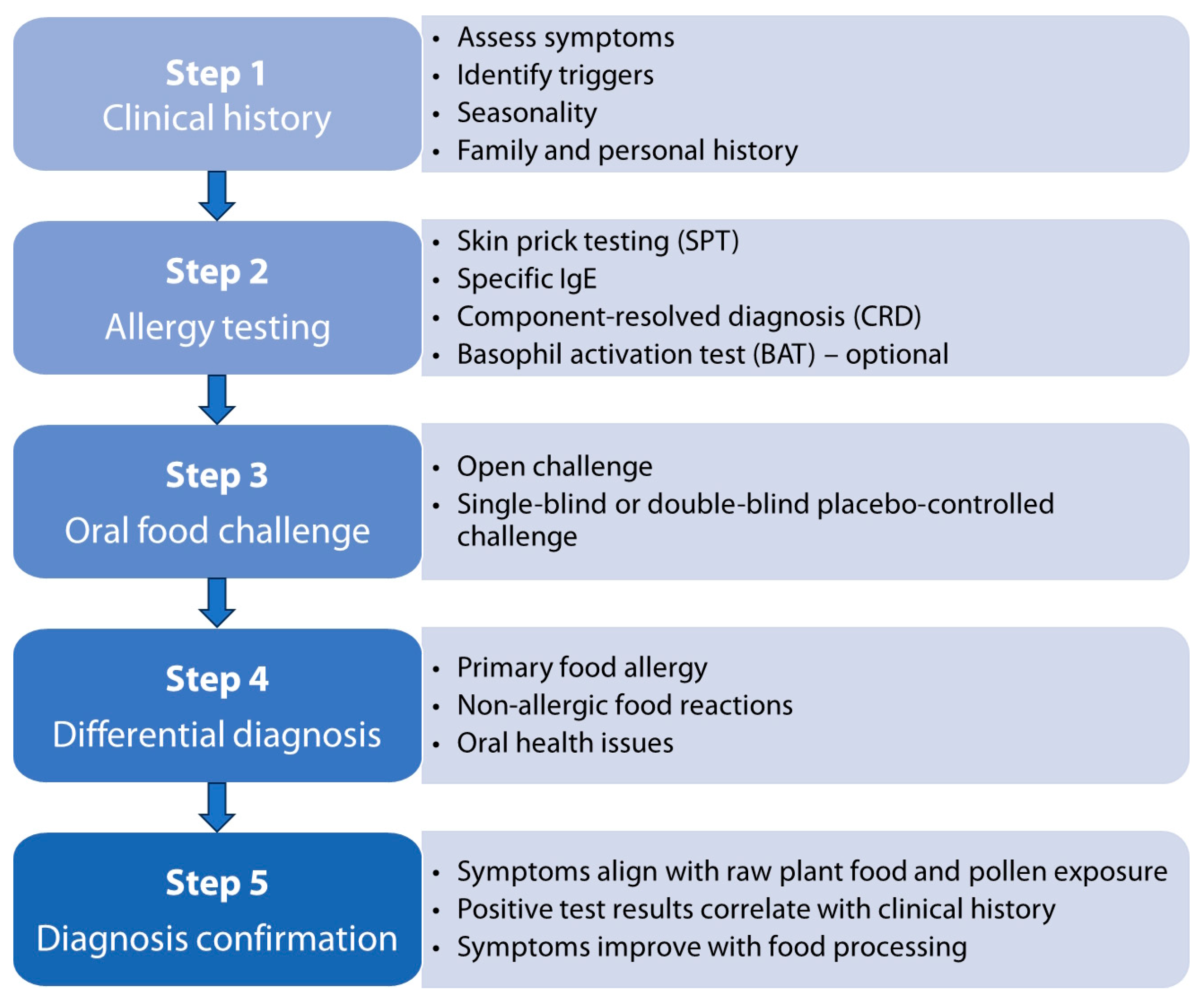 Applsci 15 00066 g004