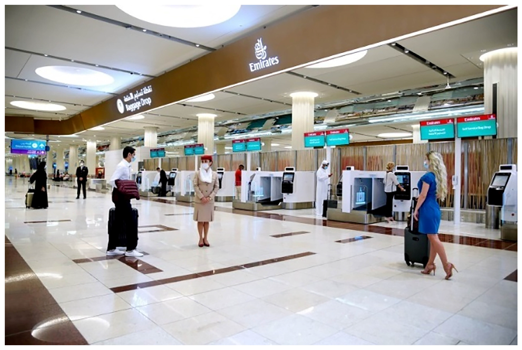 Applsci 15 00110 g001