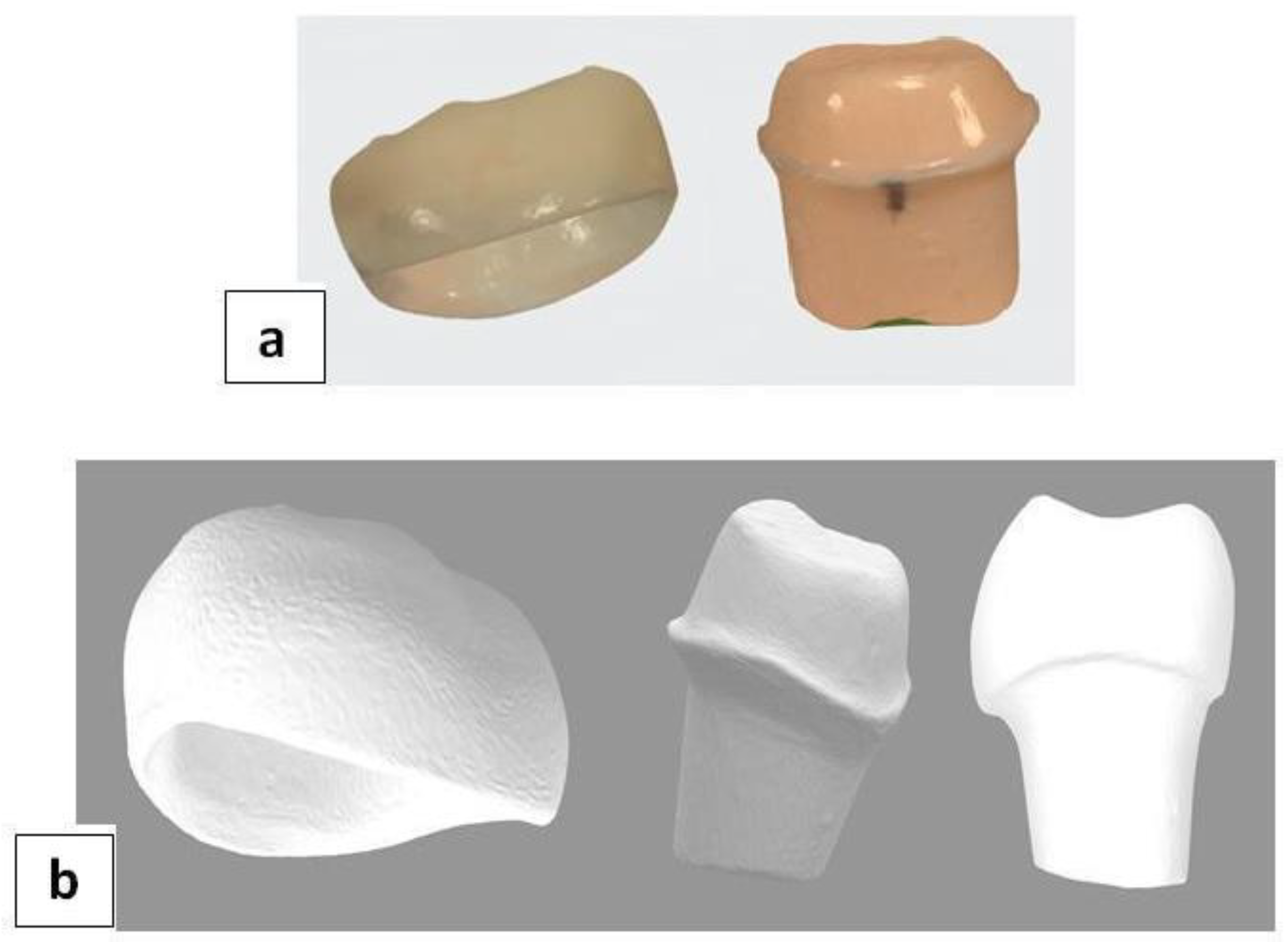 Applsci 15 00178 g001