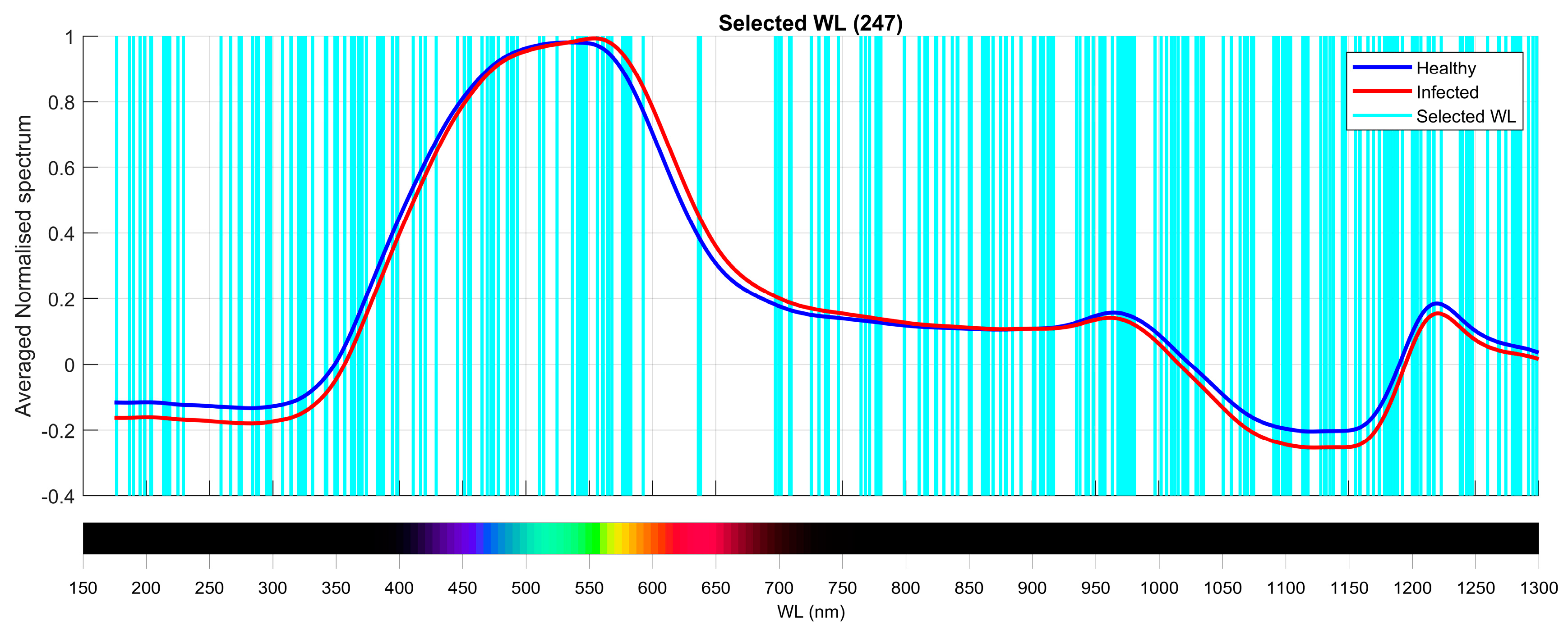 Applsci 15 00197 g012
