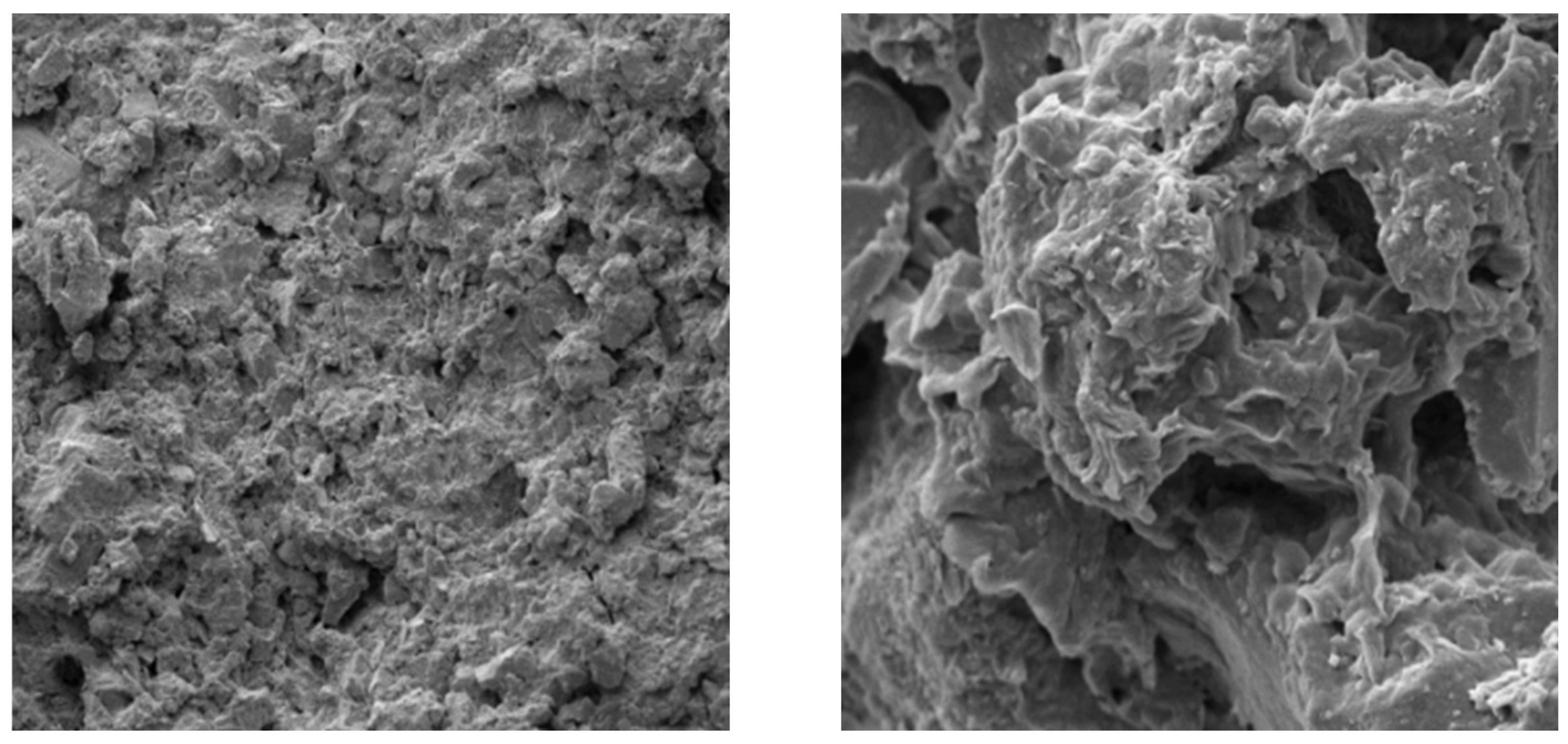 Applsci 15 00278 g008