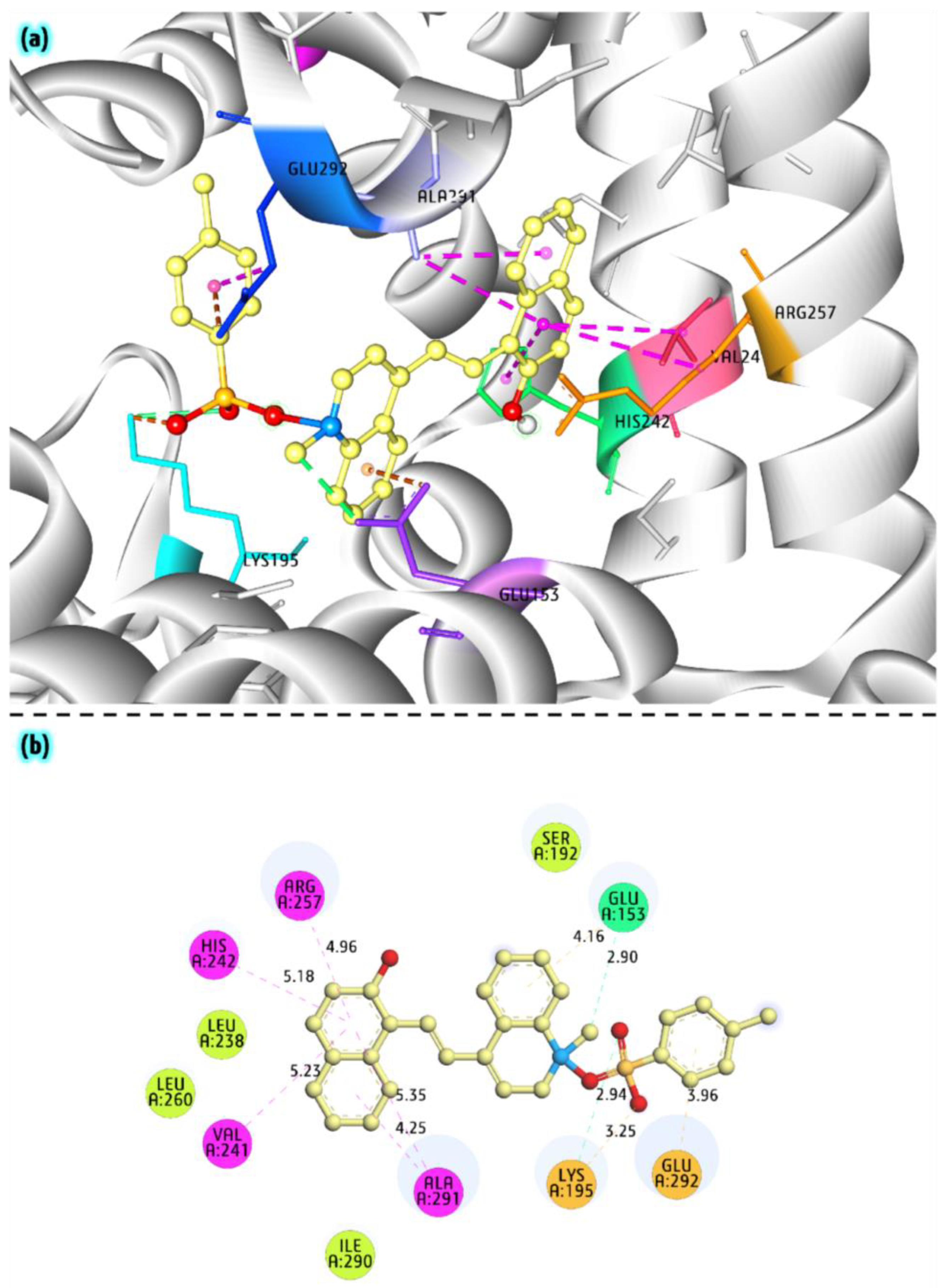 Applsci 15 00284 g008