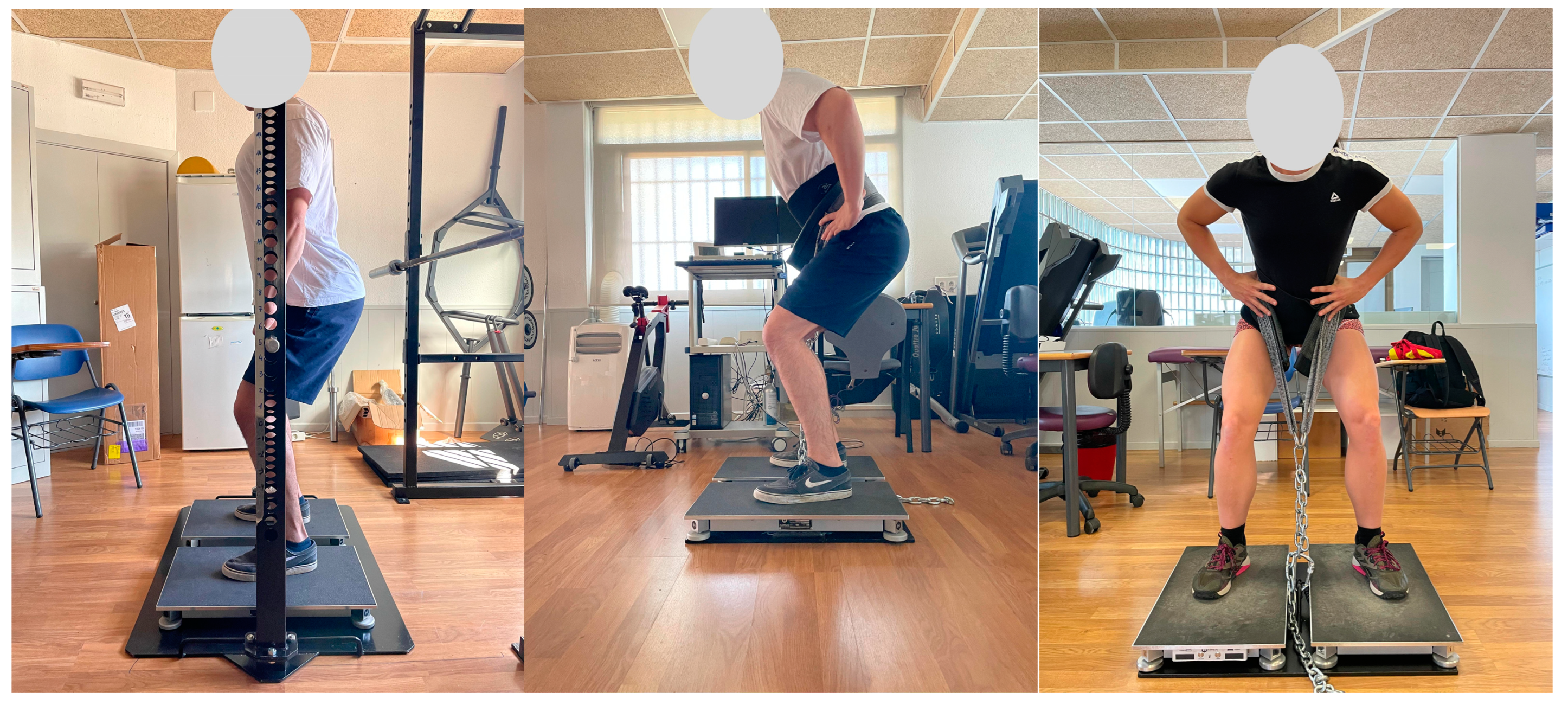 Applsci 15 00303 g001