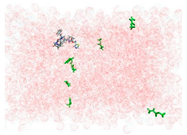 Applsci 15 00307 i001