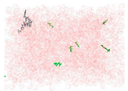 Applsci 15 00307 i002