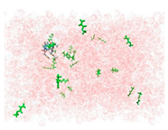 Applsci 15 00307 i004